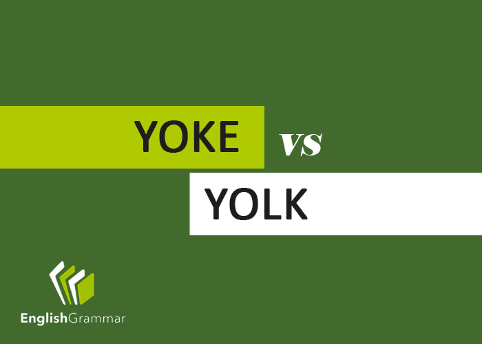 Yoke vs. Yolk