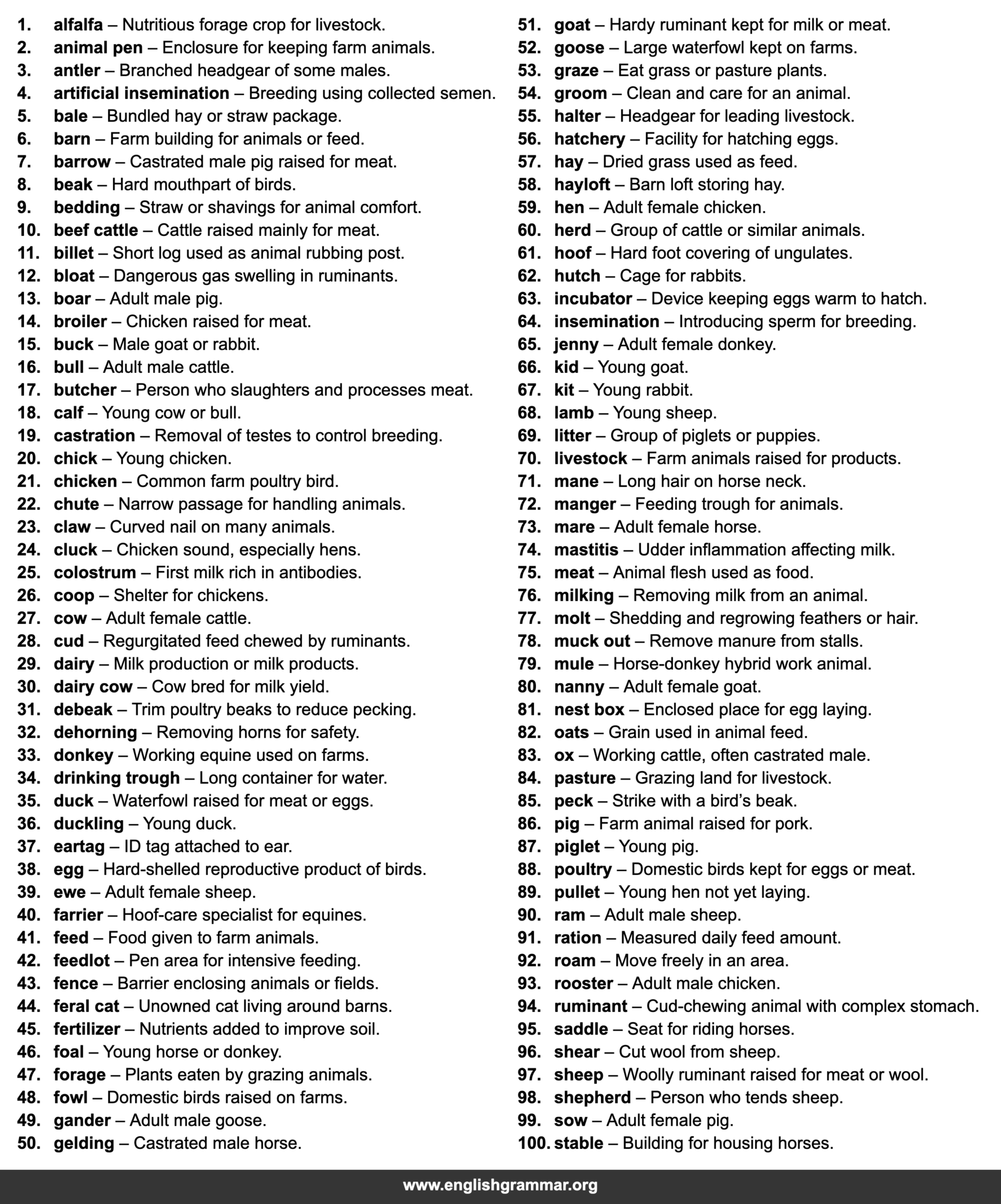 Word Animal Rearing 100 Words Related to Farm Animals