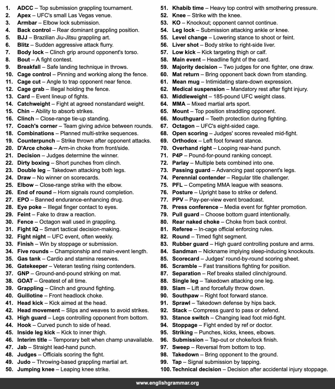 Ufc Informative Text 100 Words Every UFC Fan Should Know