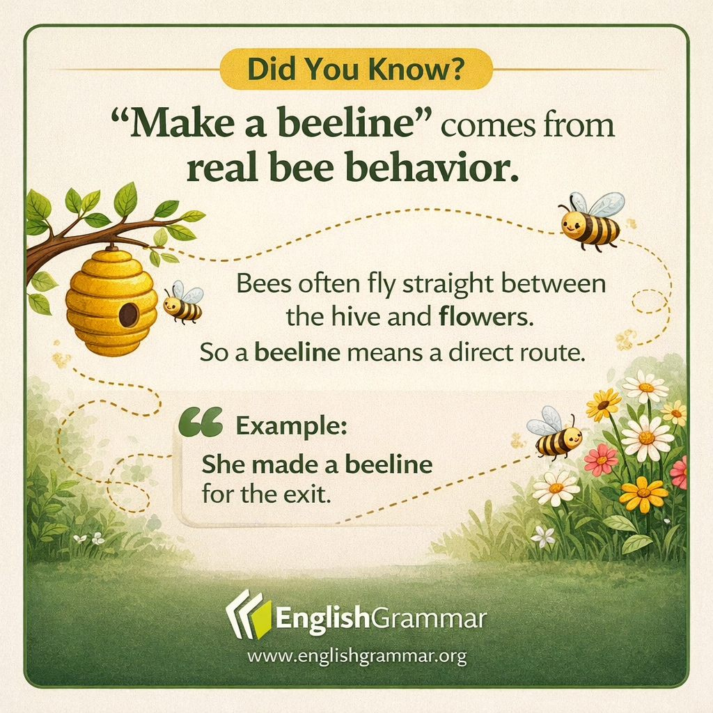 "Make a beeline" really does come from bees.
