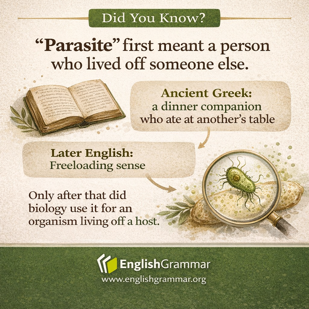 "Parasite" was a human freeloader before it was a biology word.