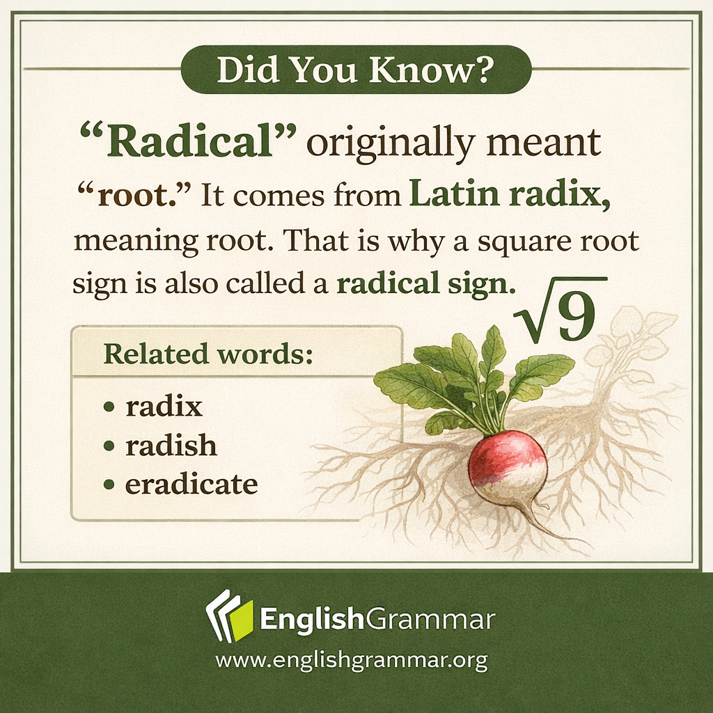 "Radical" originally referred to roots.