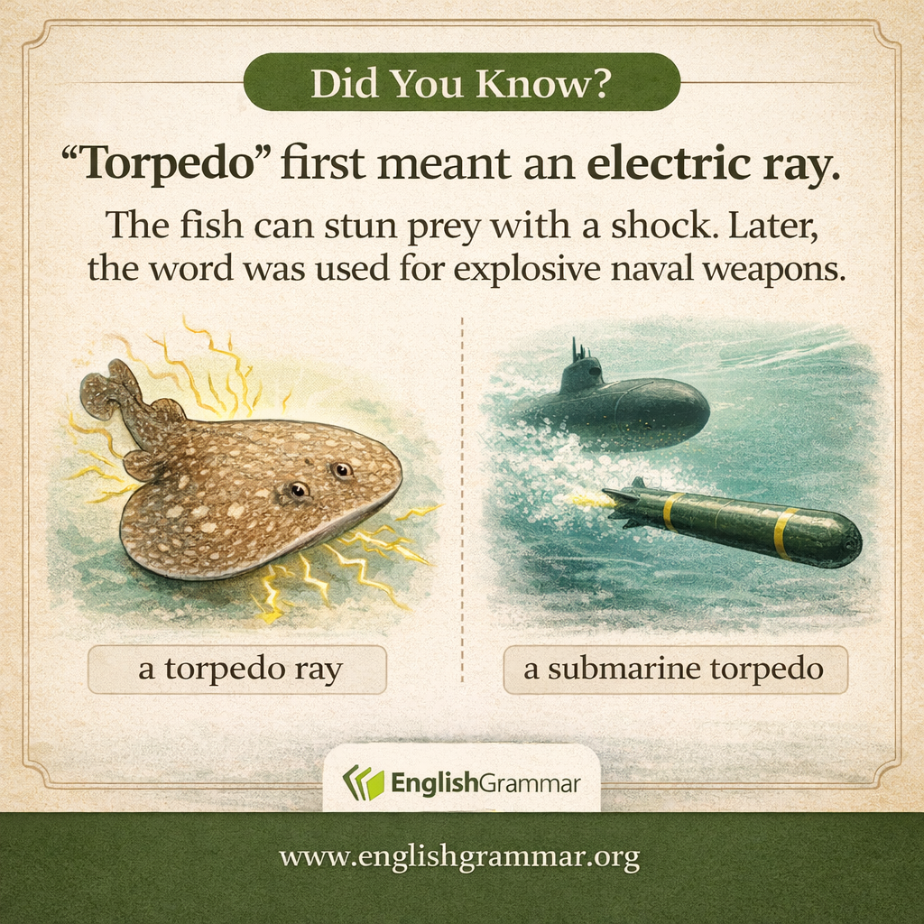 "Torpedo" originally meant an electric ray.