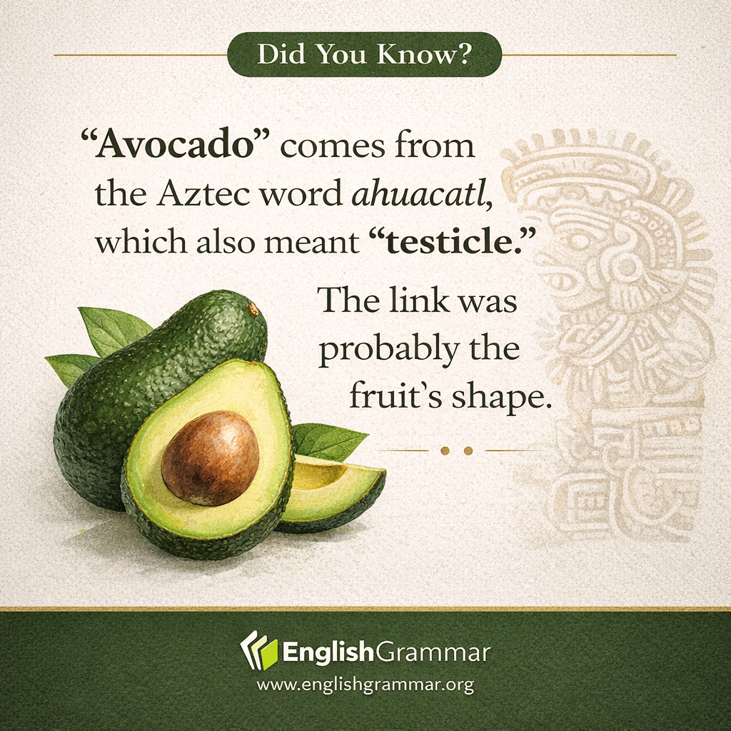 "Avocado" comes from an Aztec word meaning "testicle" (due to shape)