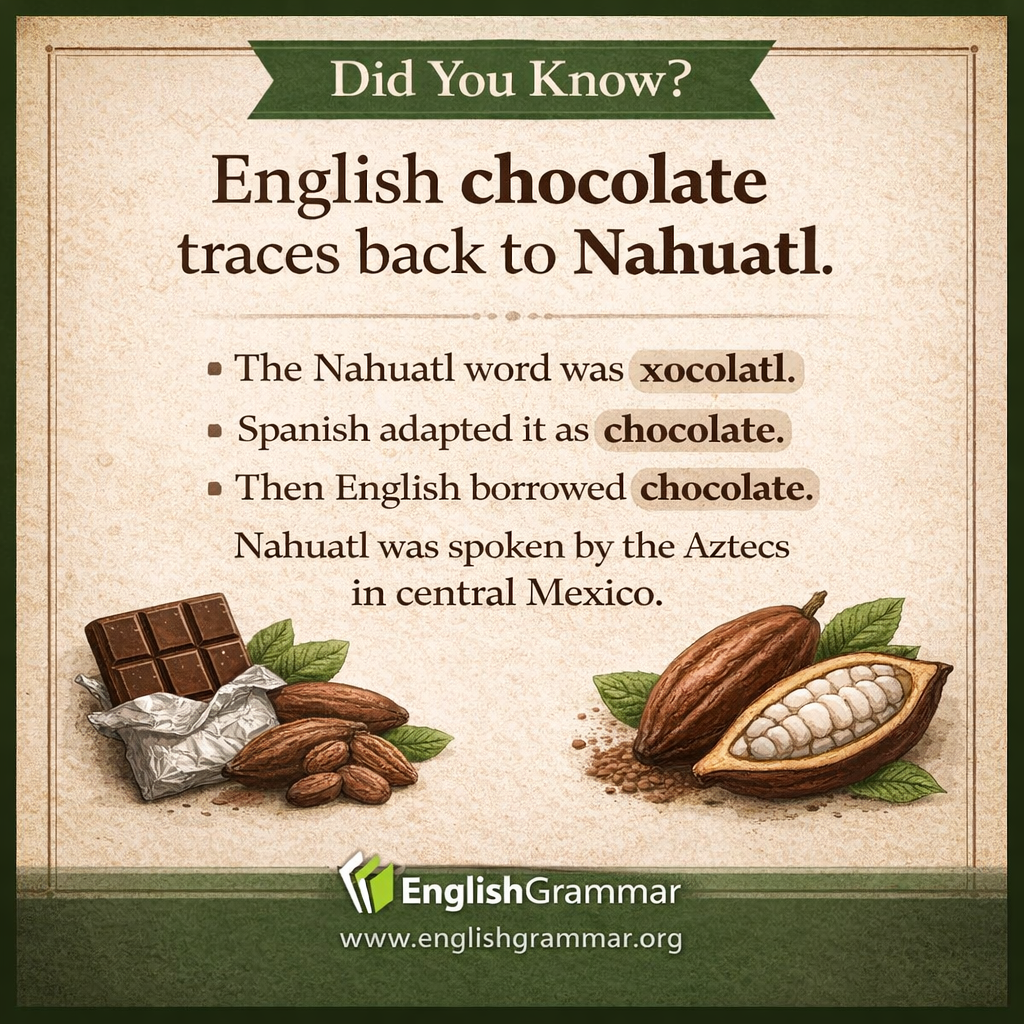 Chocolate comes from Nahuatl