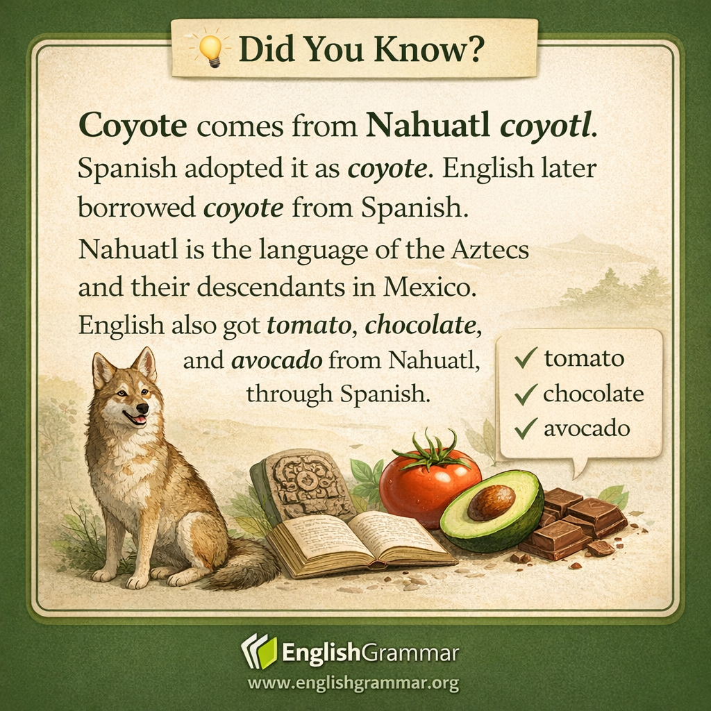 Coyote comes from Nahuatl
