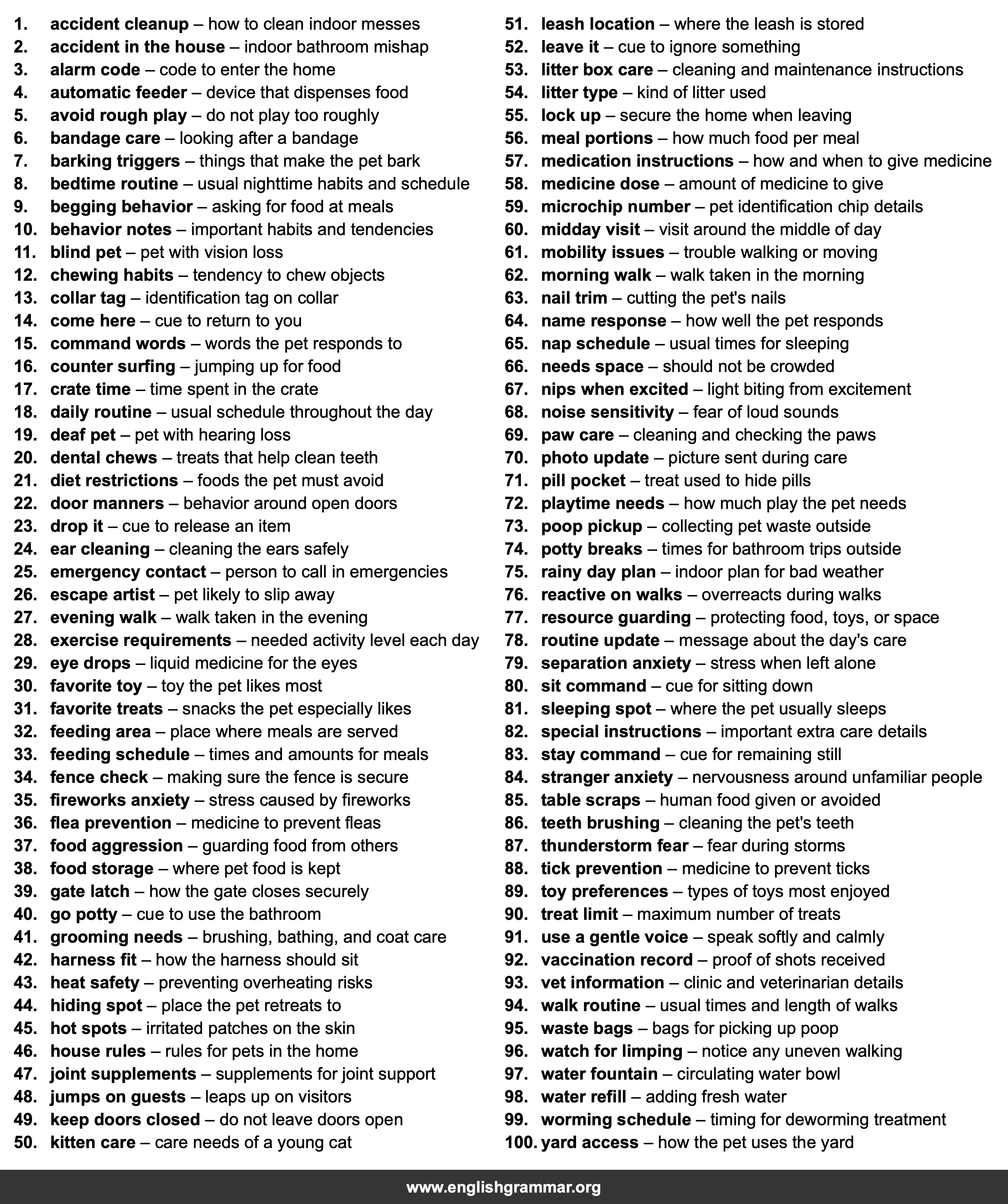 100 English Phrases for Discussing Pet Care With a Sitter