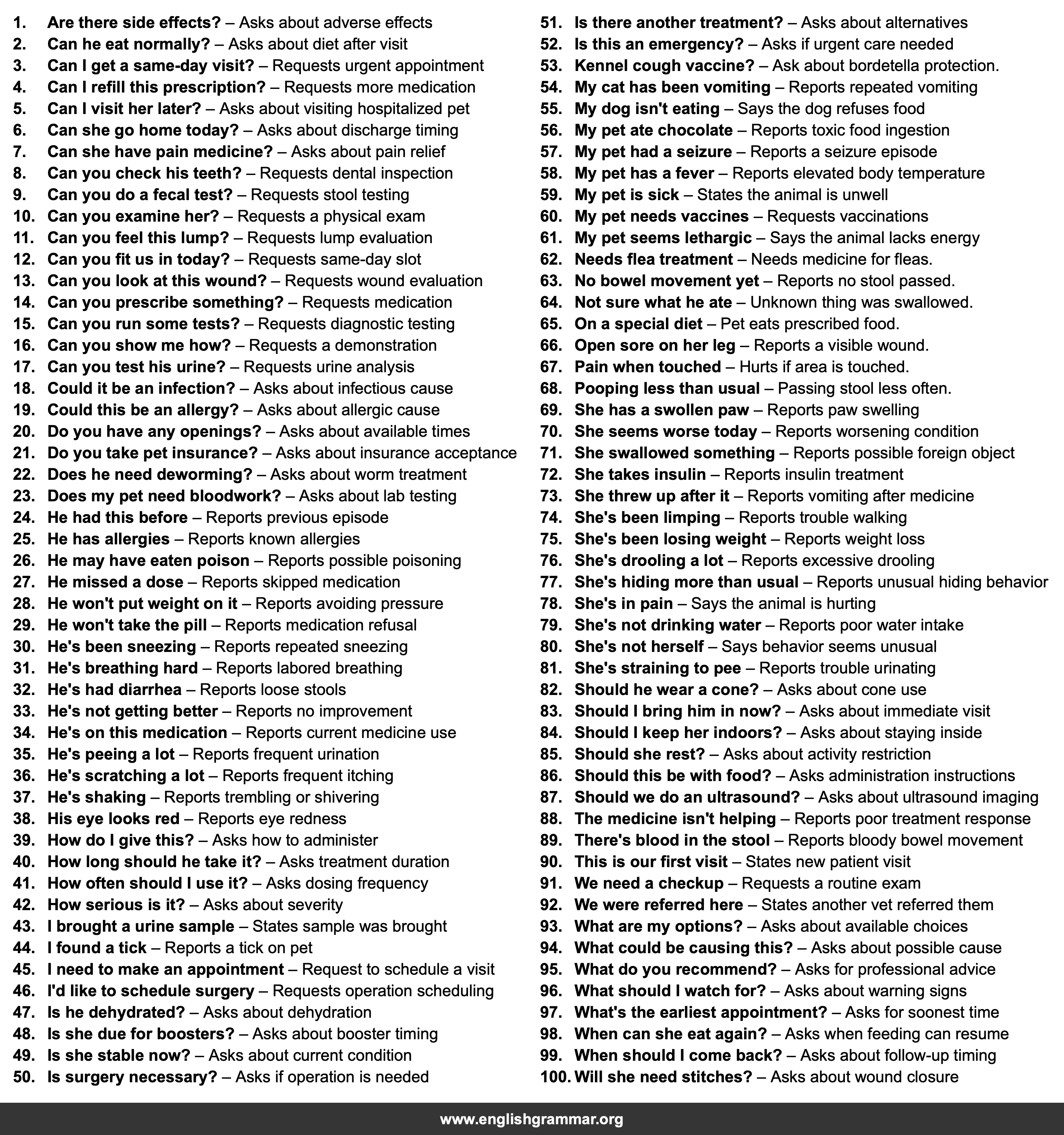 100 English Phrases for Visiting a Vet