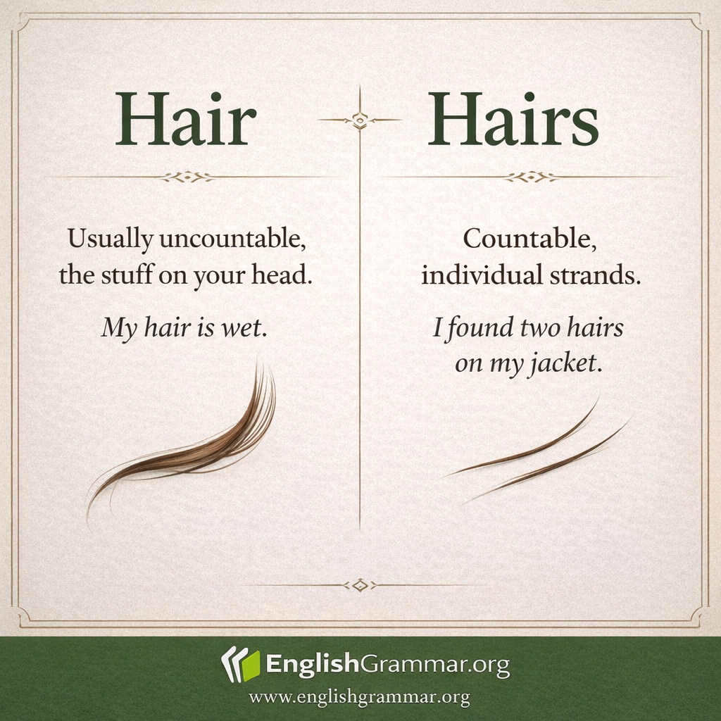 Hair vs. Hairs