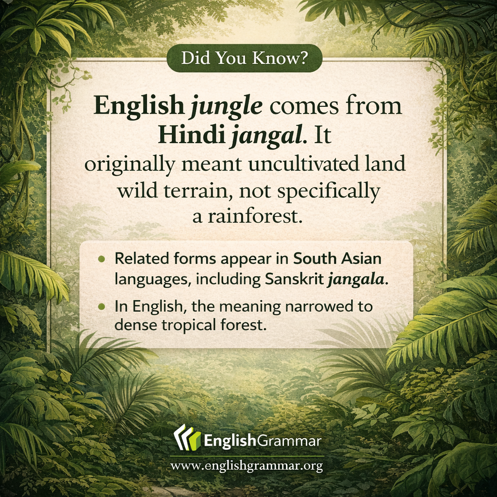 Jungle comes from an Indian-language source