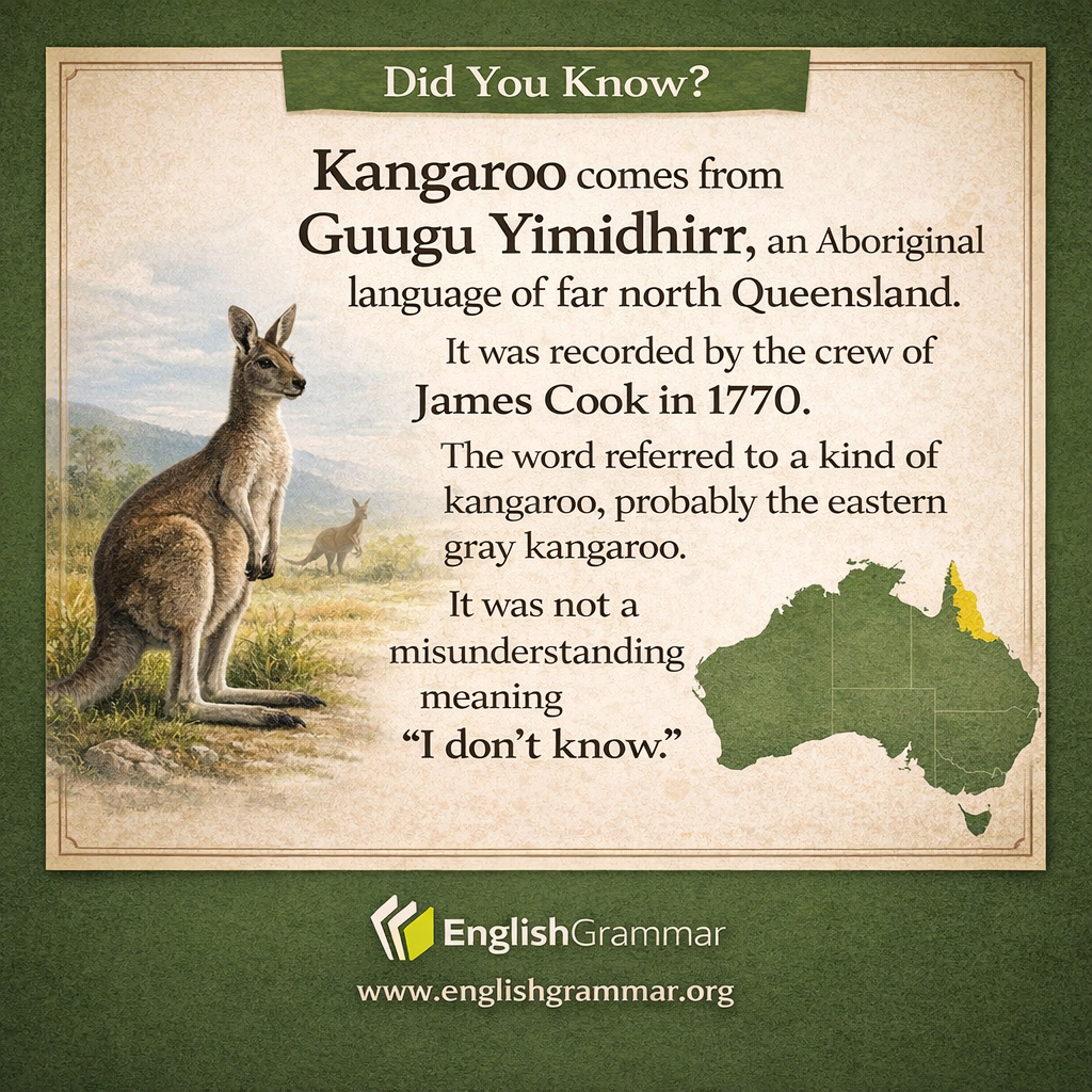 Kangaroo comes from Guugu Yimidhirr