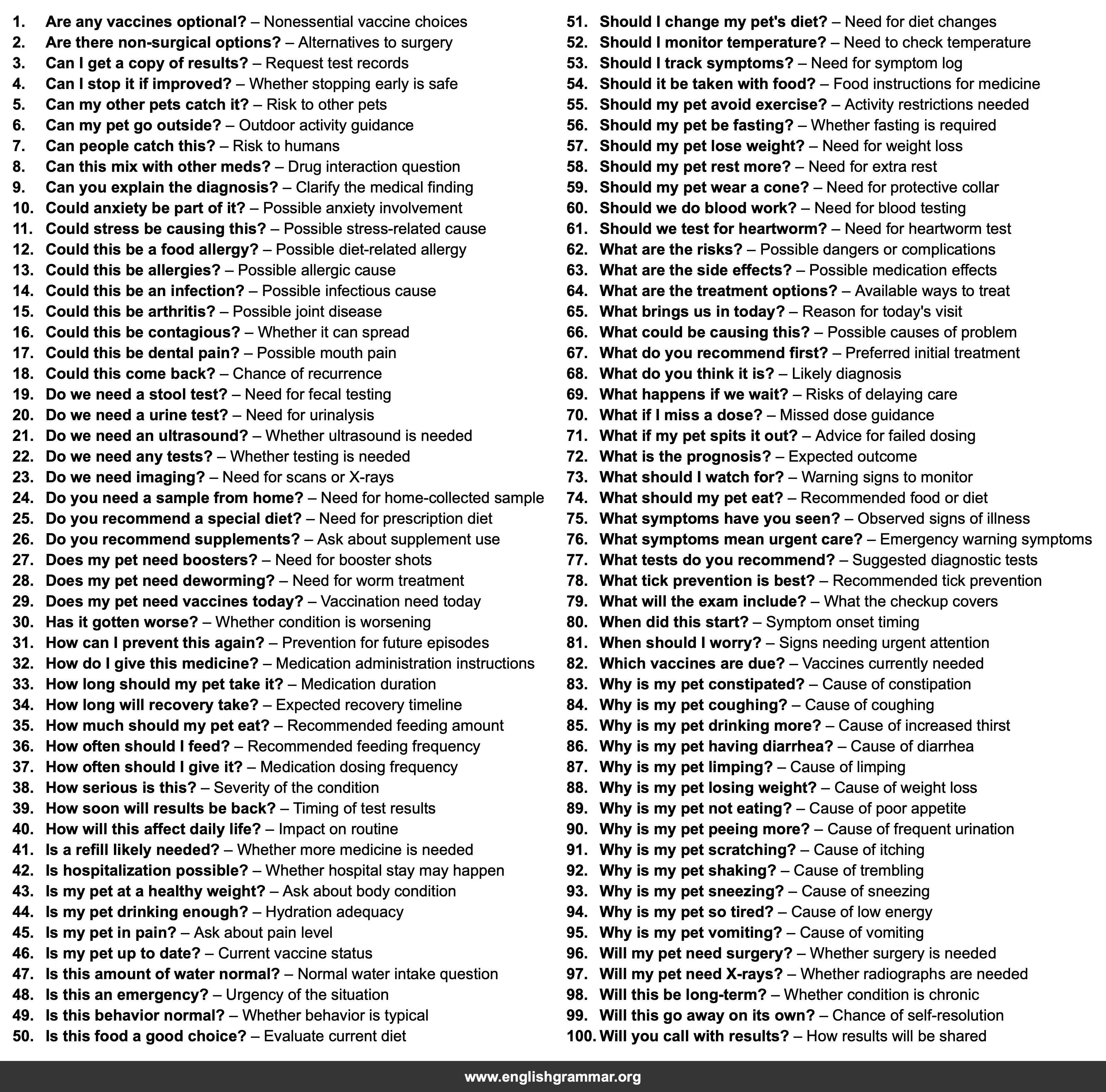 100 Questions to Ask At a Vet Appointment