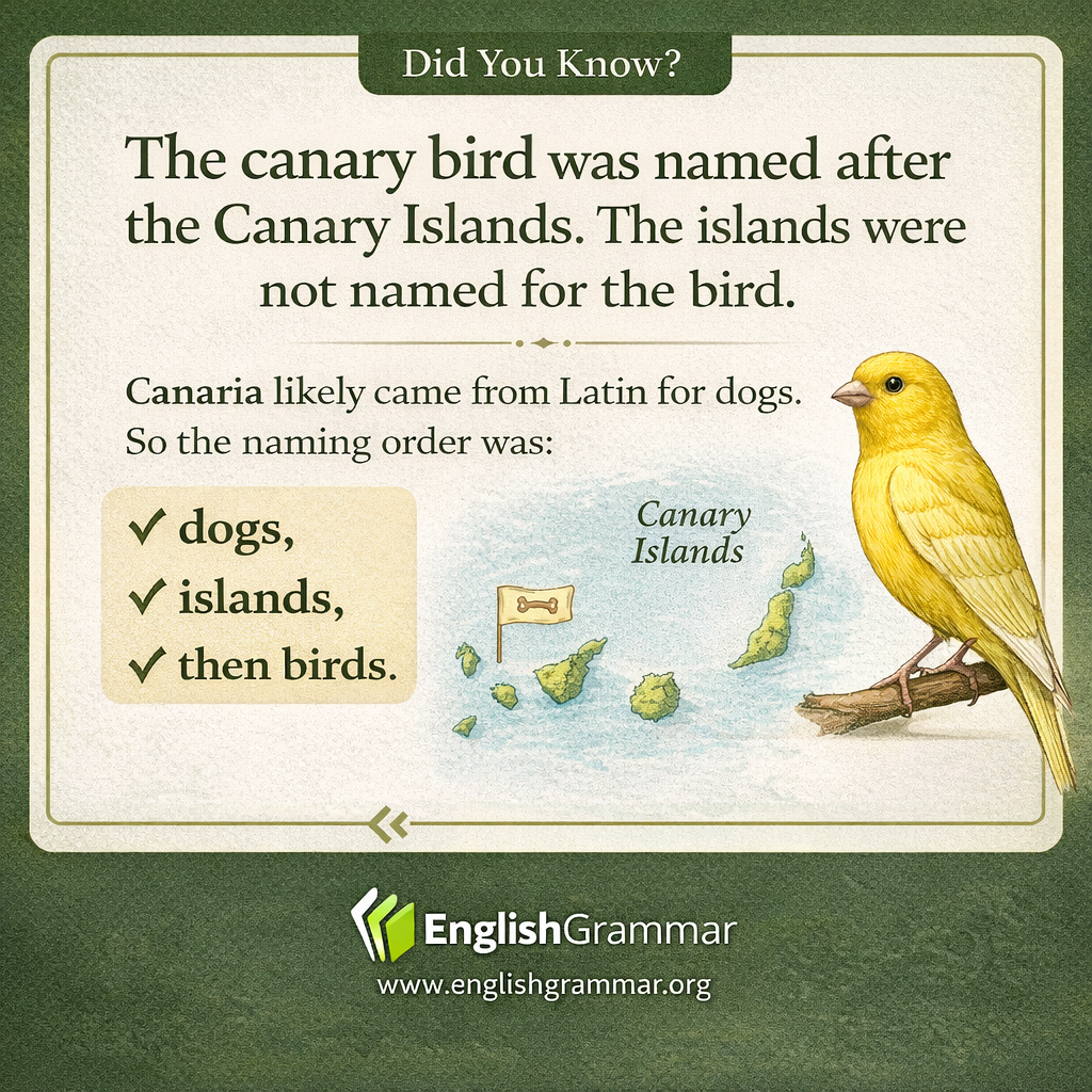 The canary bird is named after the Canary Islands, not the other way around