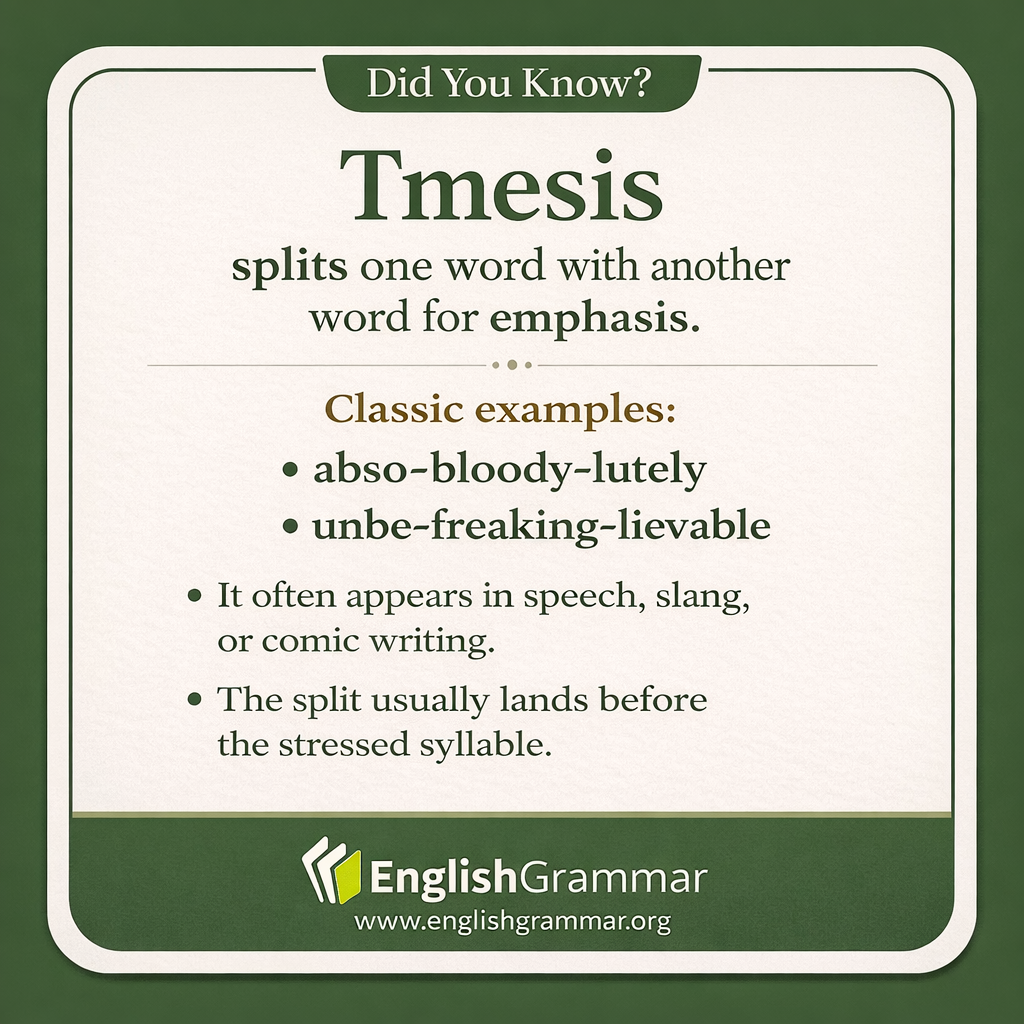 Tmesis: abso-bloody-lutely and other split words