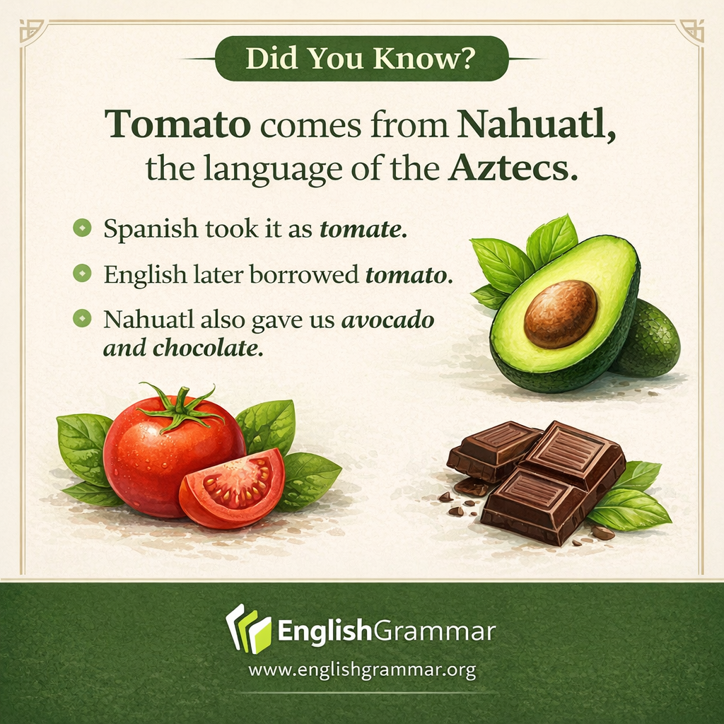 Tomato comes from Nahuatl