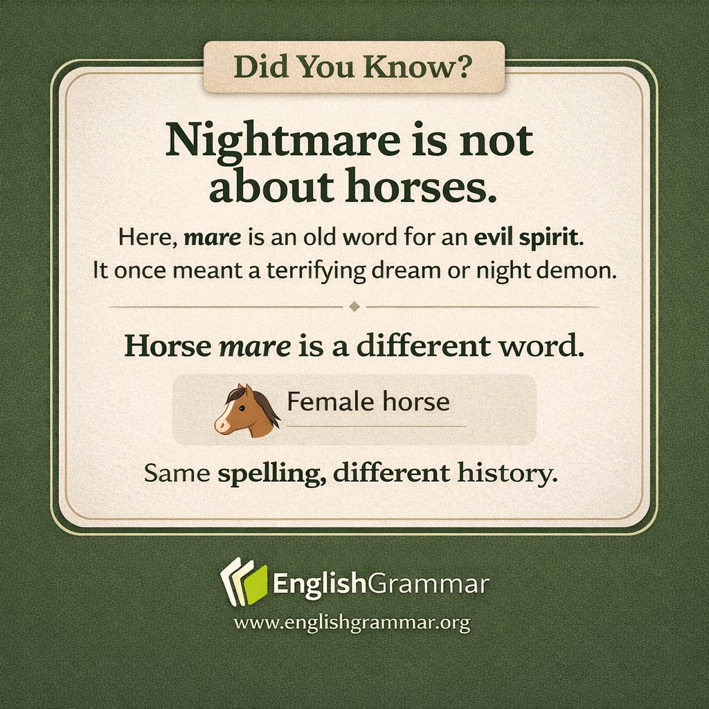 Why nightmare has nothing to do with horses
