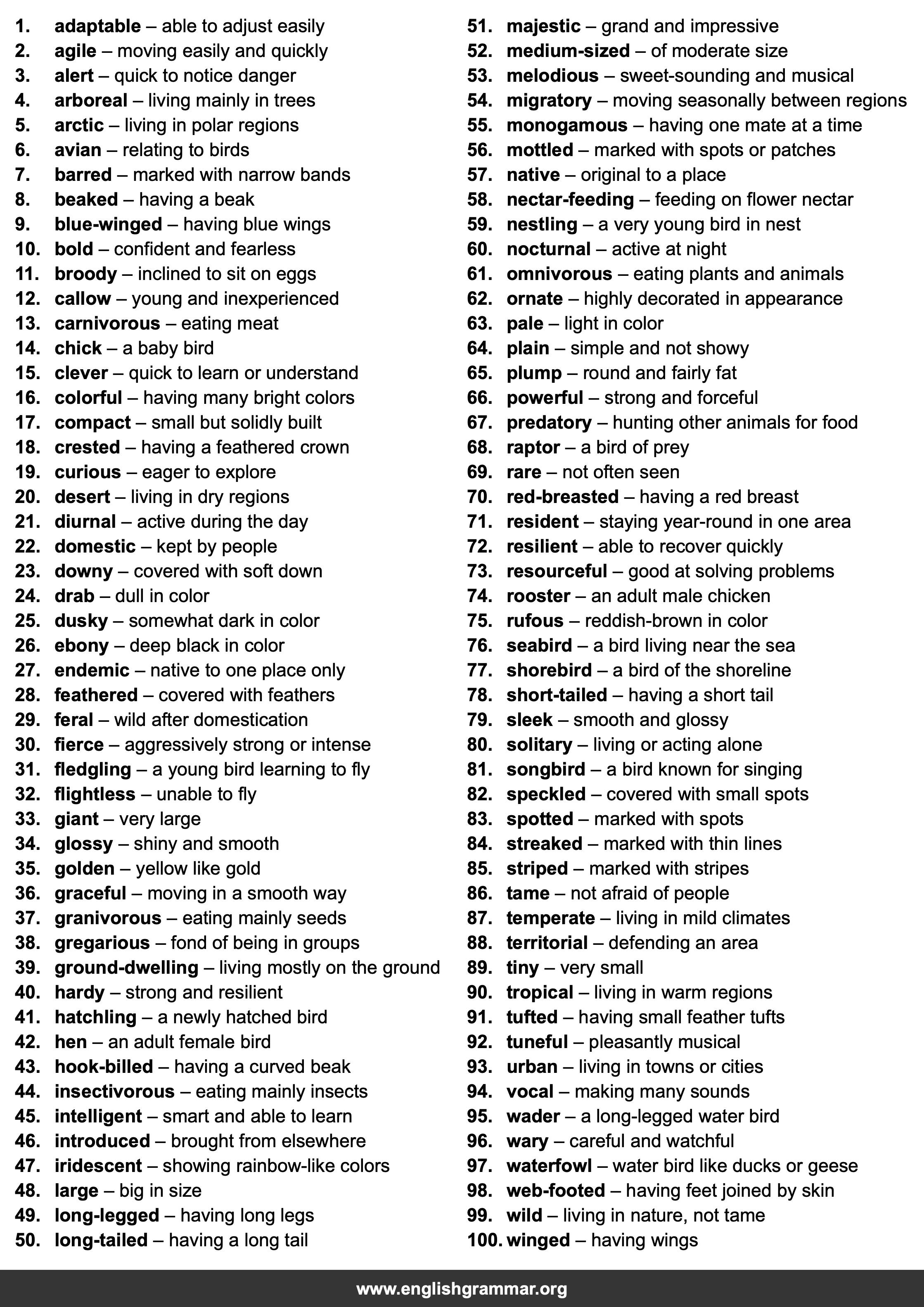 100 Words to Describe Birds