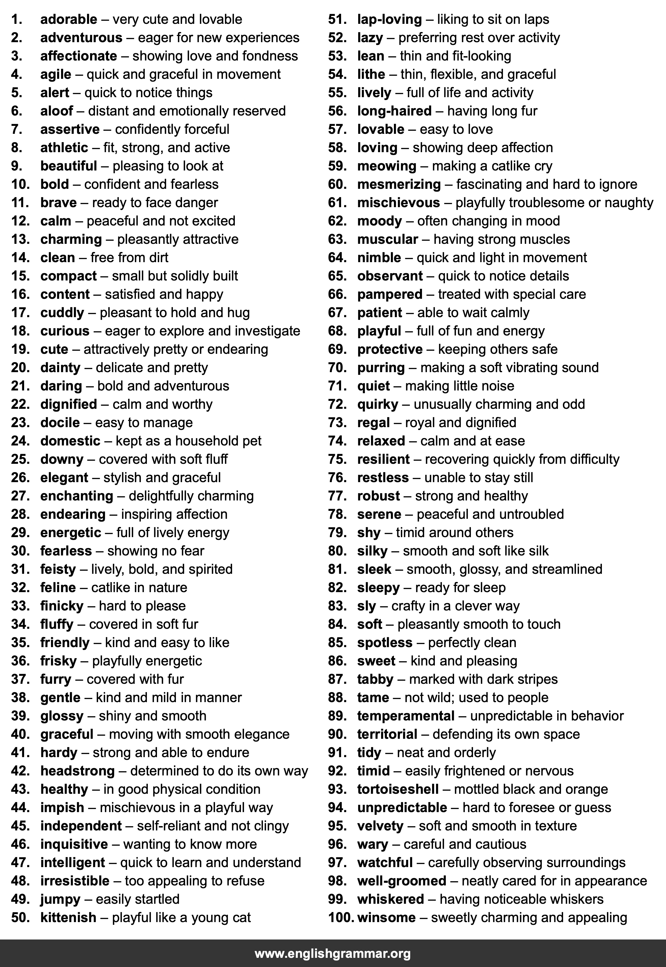 100 Words to Describe Cats