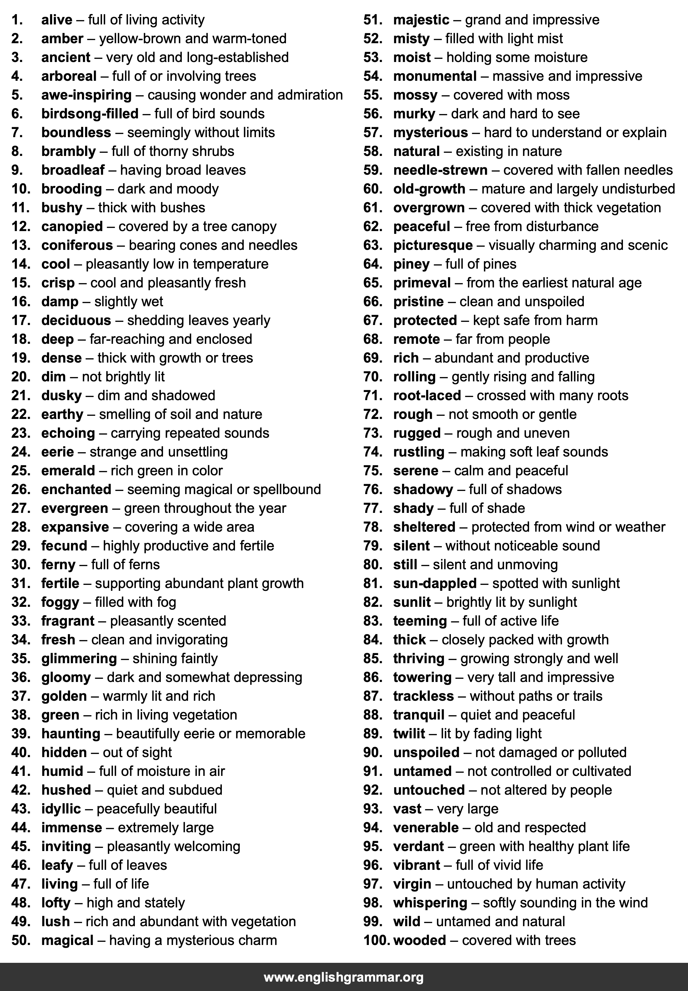 100 Words to Describe Forests