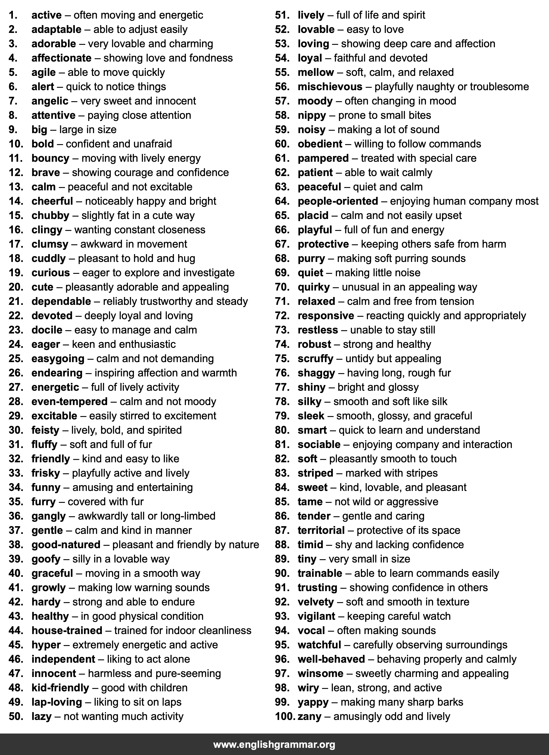 100 Words to Describe Pets
