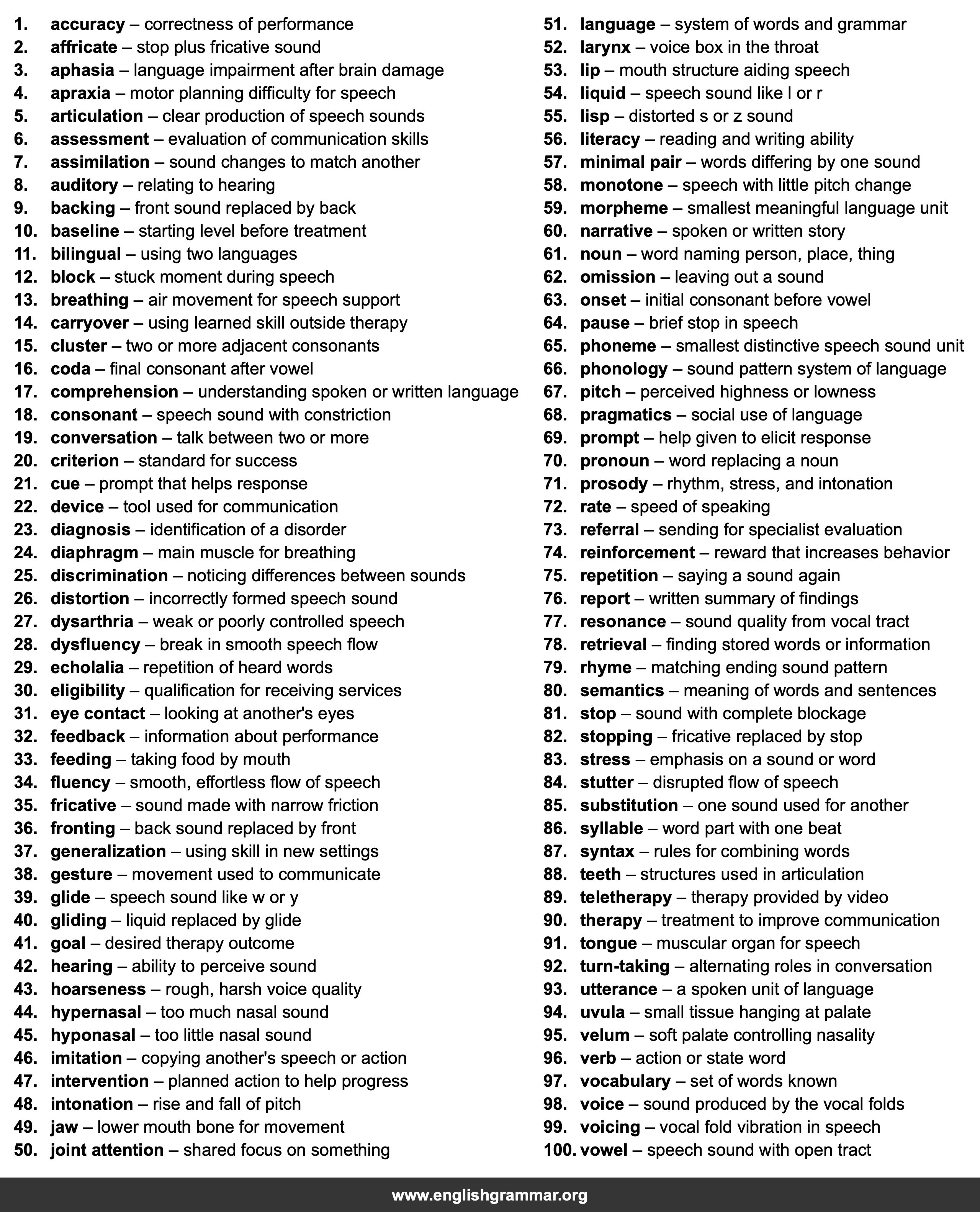 100 Words Every Speech Therapist Should Know