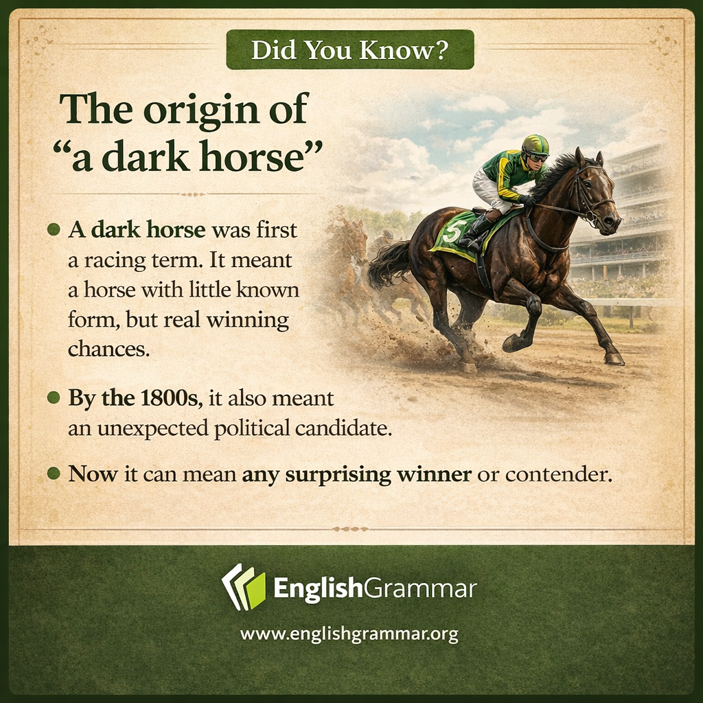 The origin of "a dark horse"
