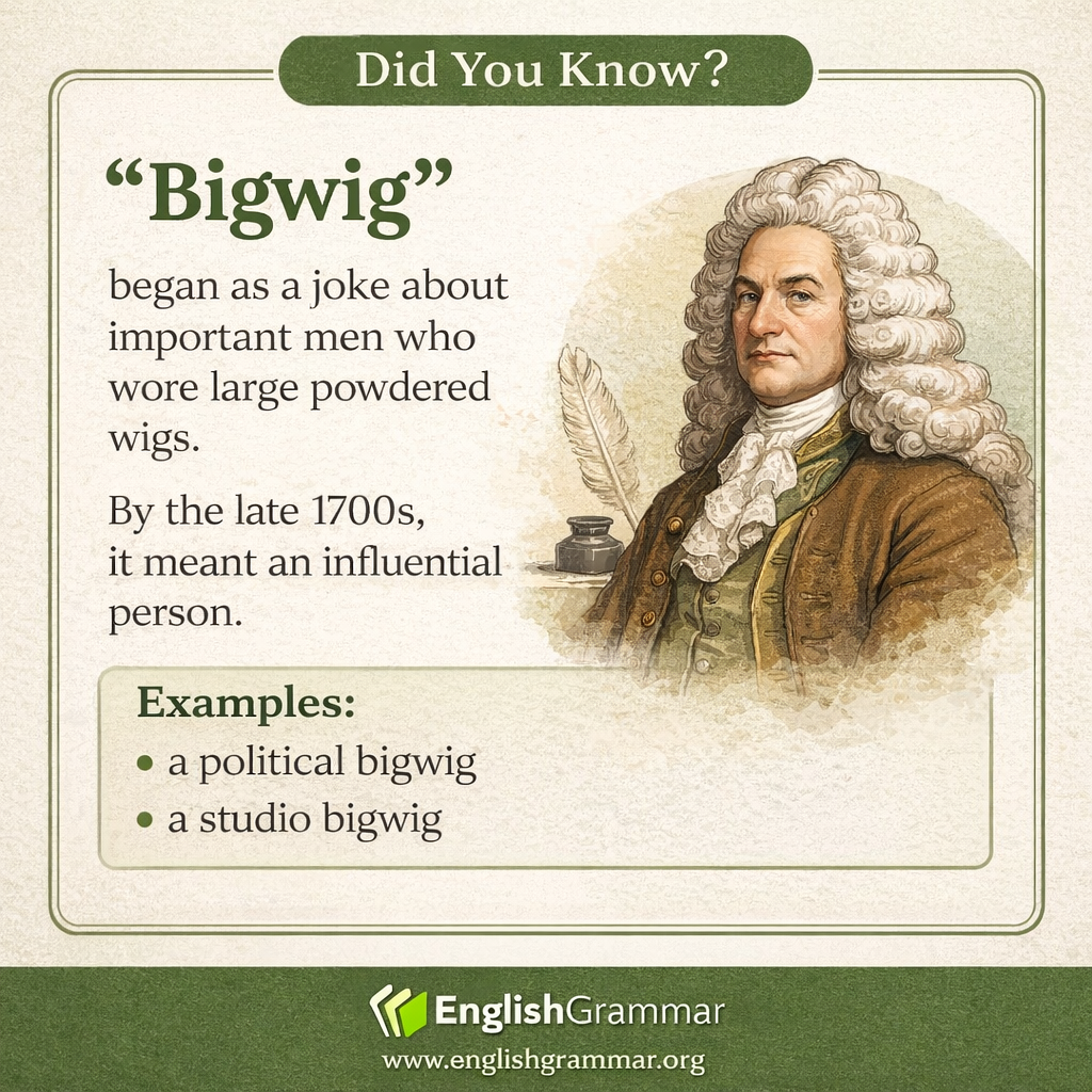 The origin of "bigwig"