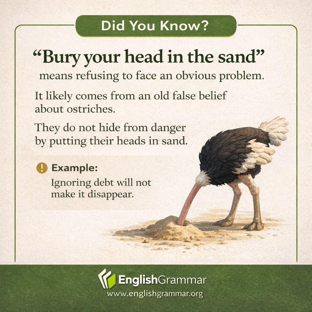The origin of "bury your head in the sand"