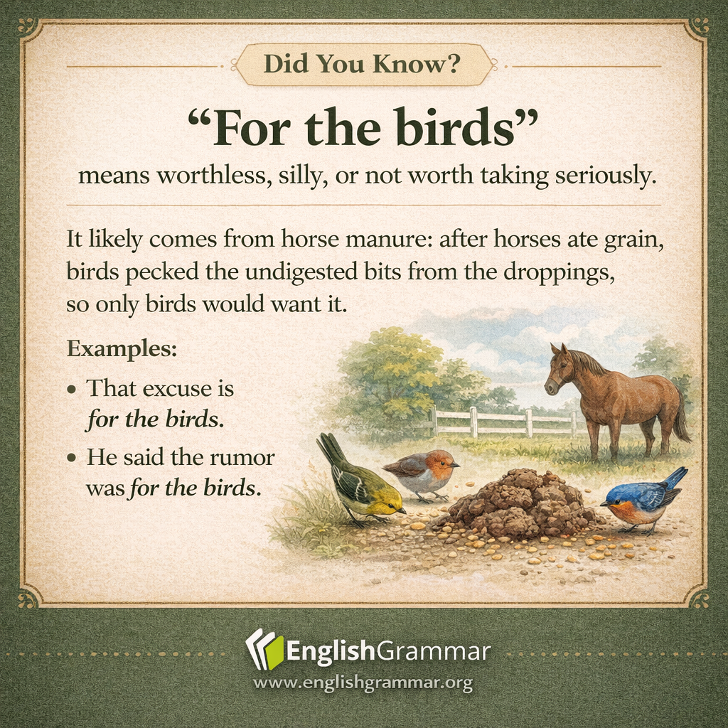 The origin of "for the birds"