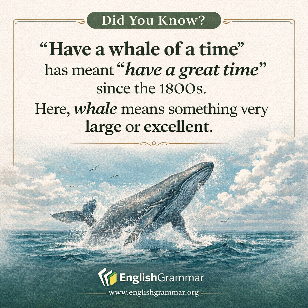 The origin of "have a whale of a time"