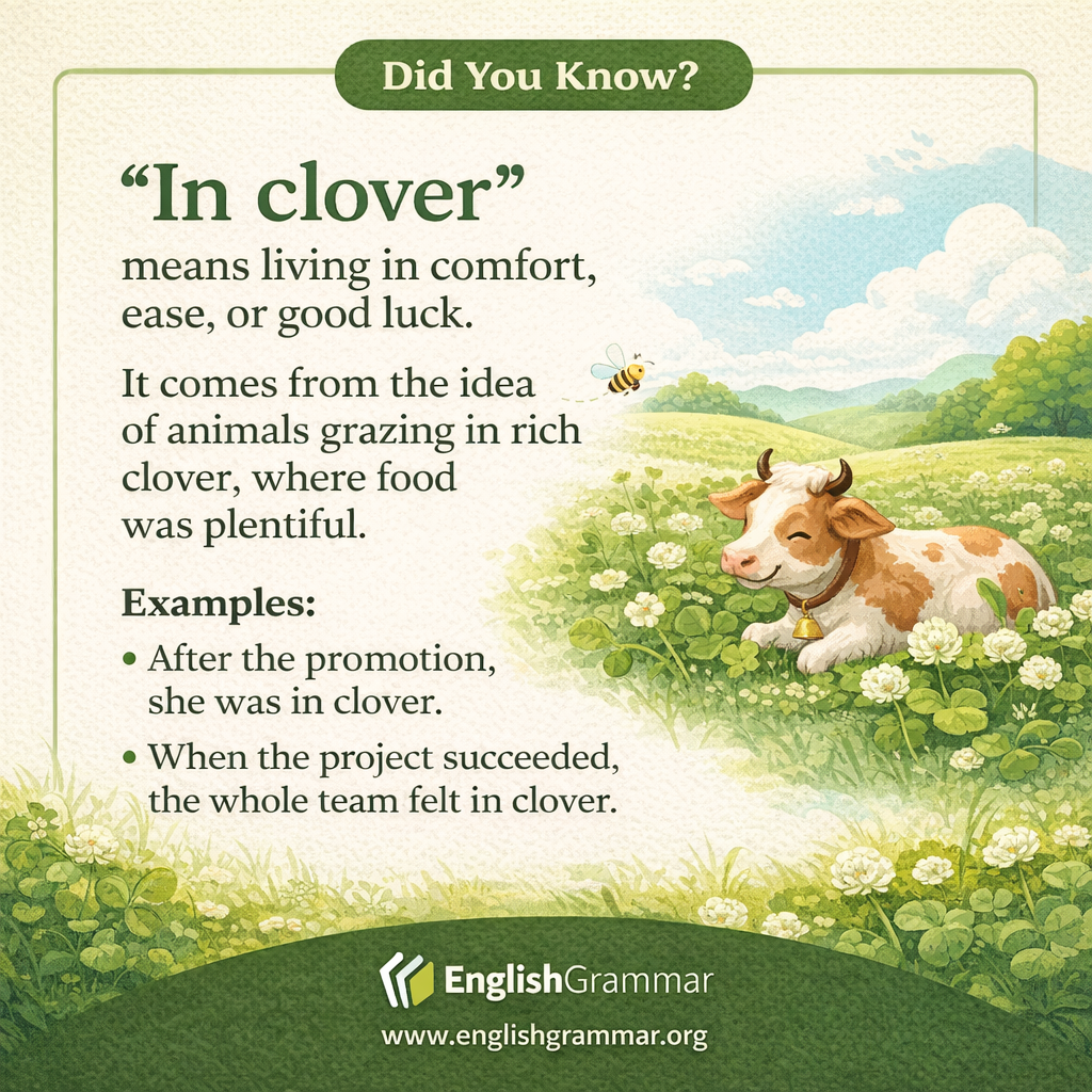 The origin of "in clover"