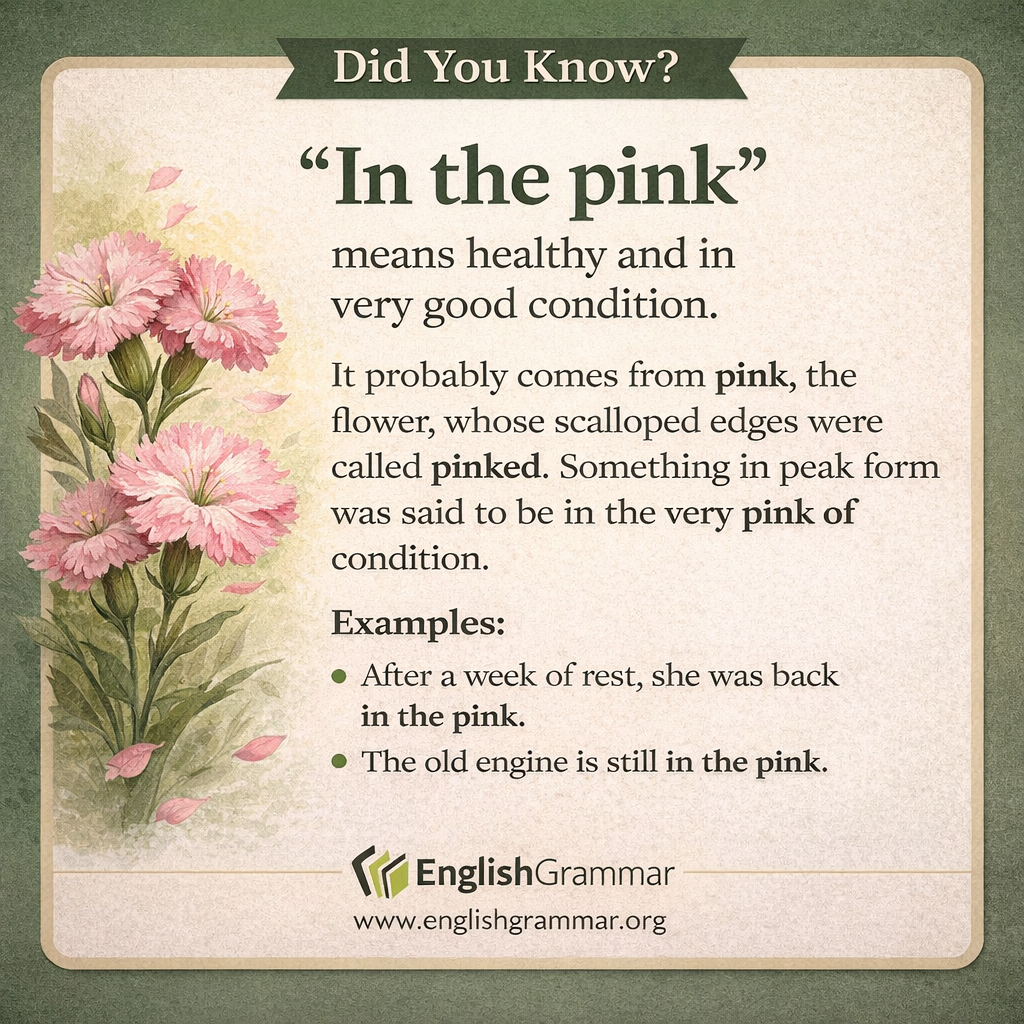 The origin of "in the pink"