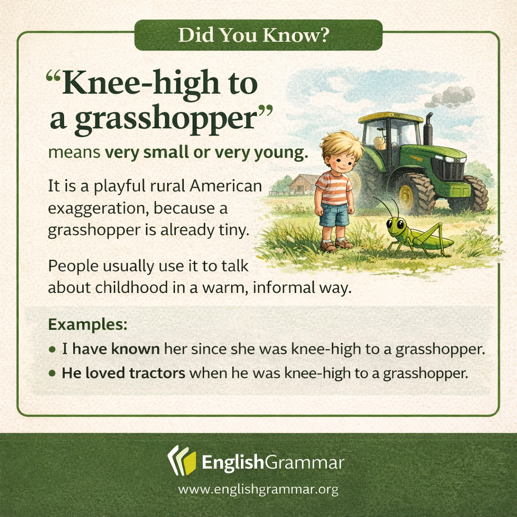 The origin of "knee-high to a grasshopper"