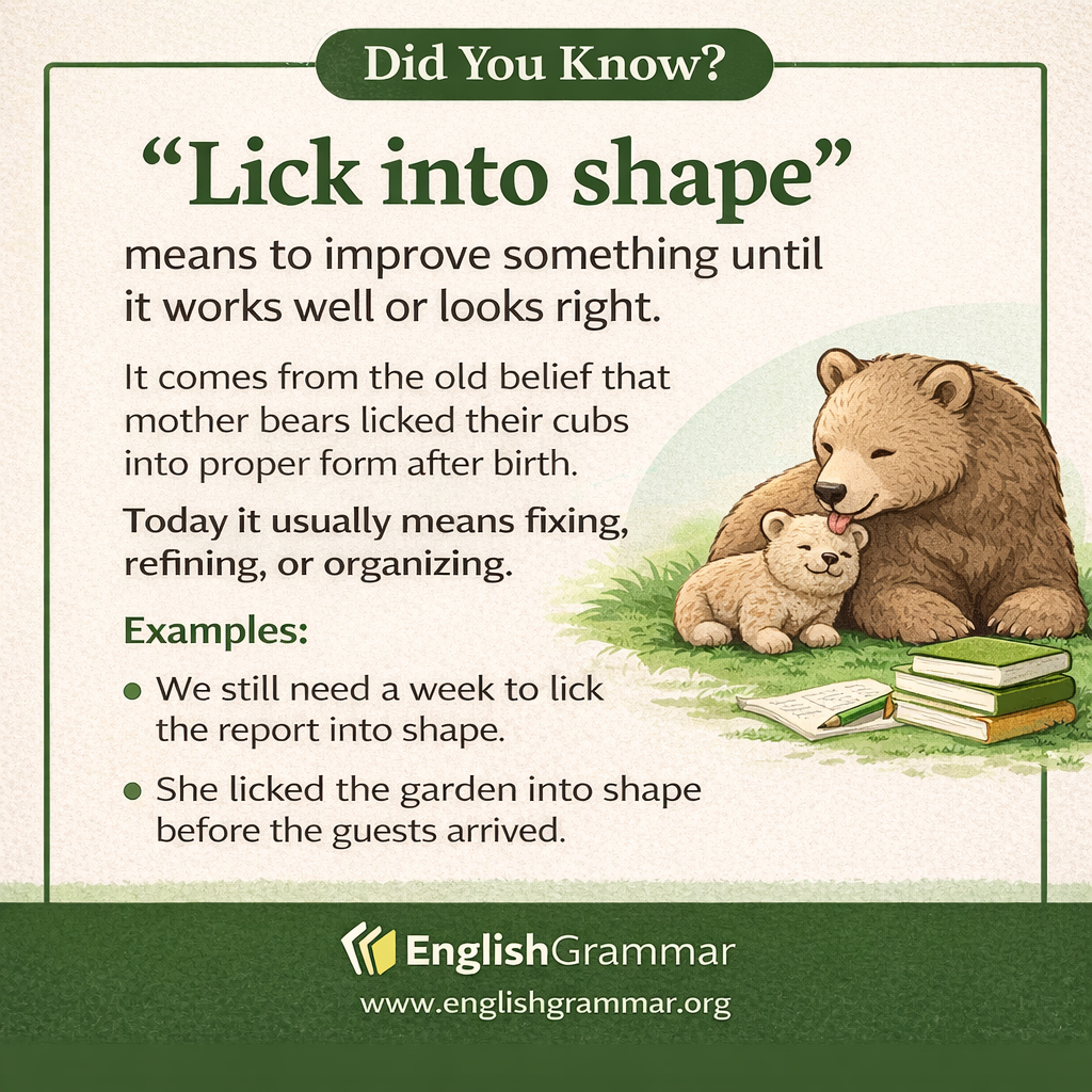The origin of "lick into shape"