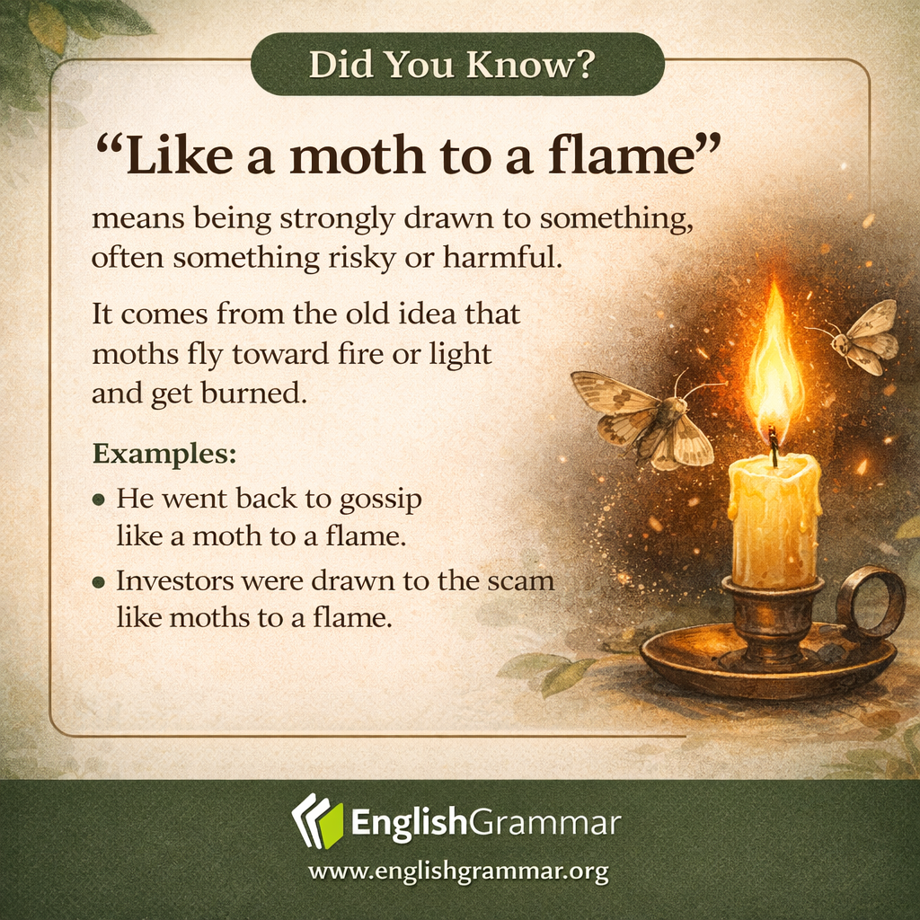 The origin of "like a moth to a flame"