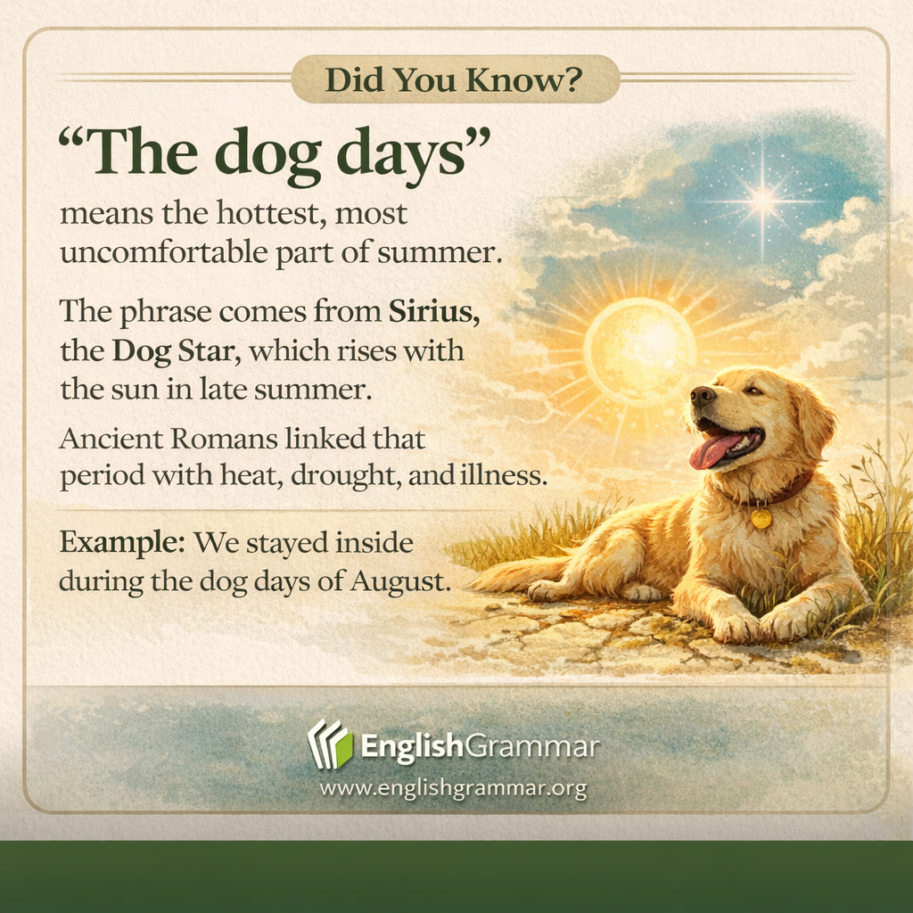 The origin of "the dog days"