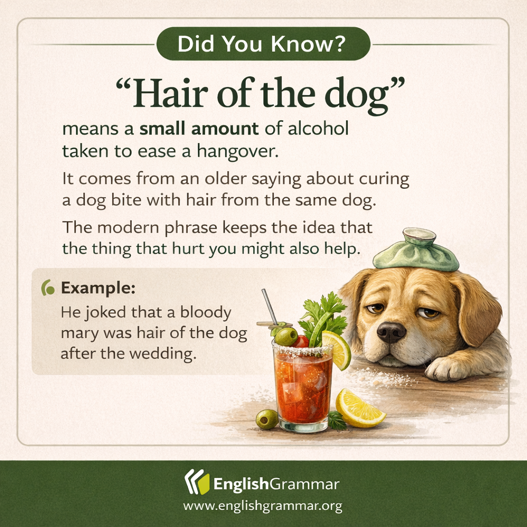 The origin of "the hair of the dog"