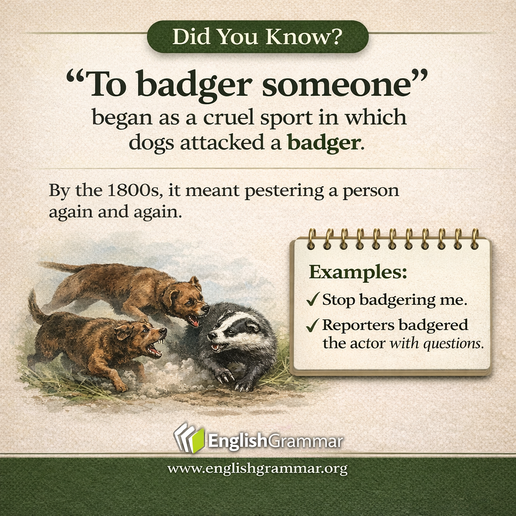 The origin of "to badger someone"