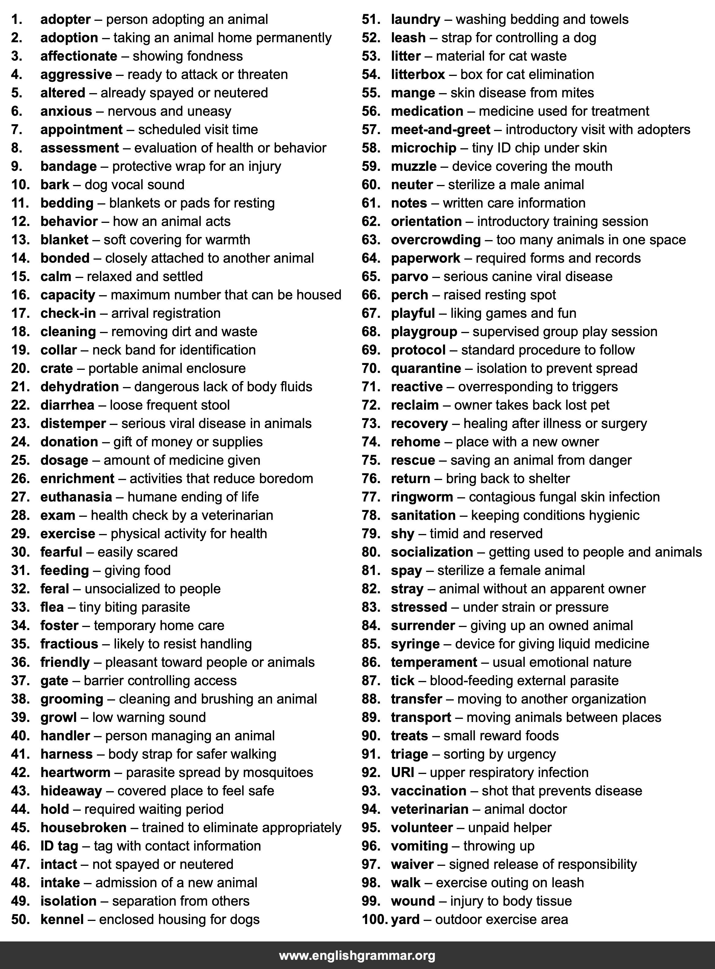 100 Words Every Animal Shelter Volunteer Should Know