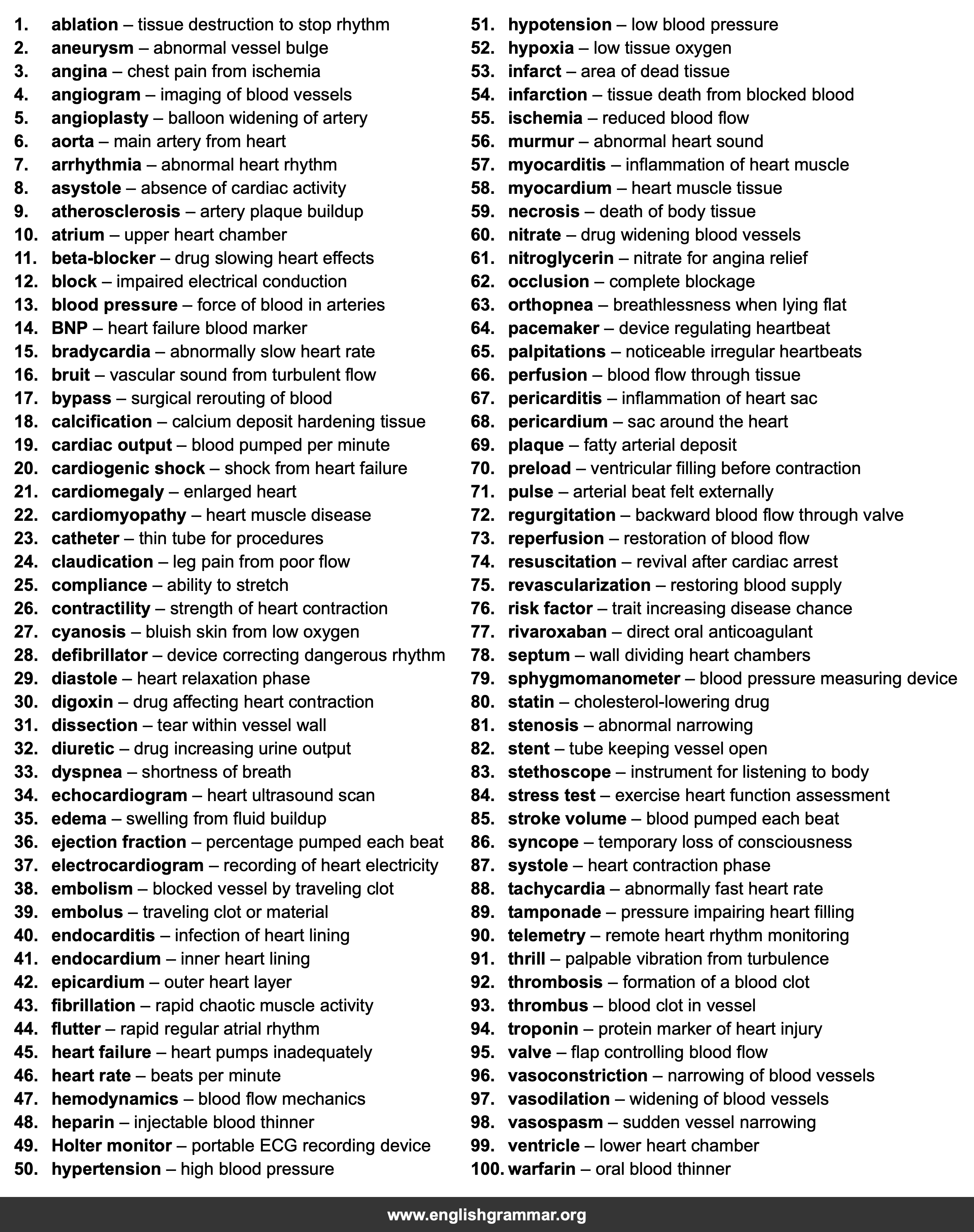 100 Words Every Cardiologist Should Know