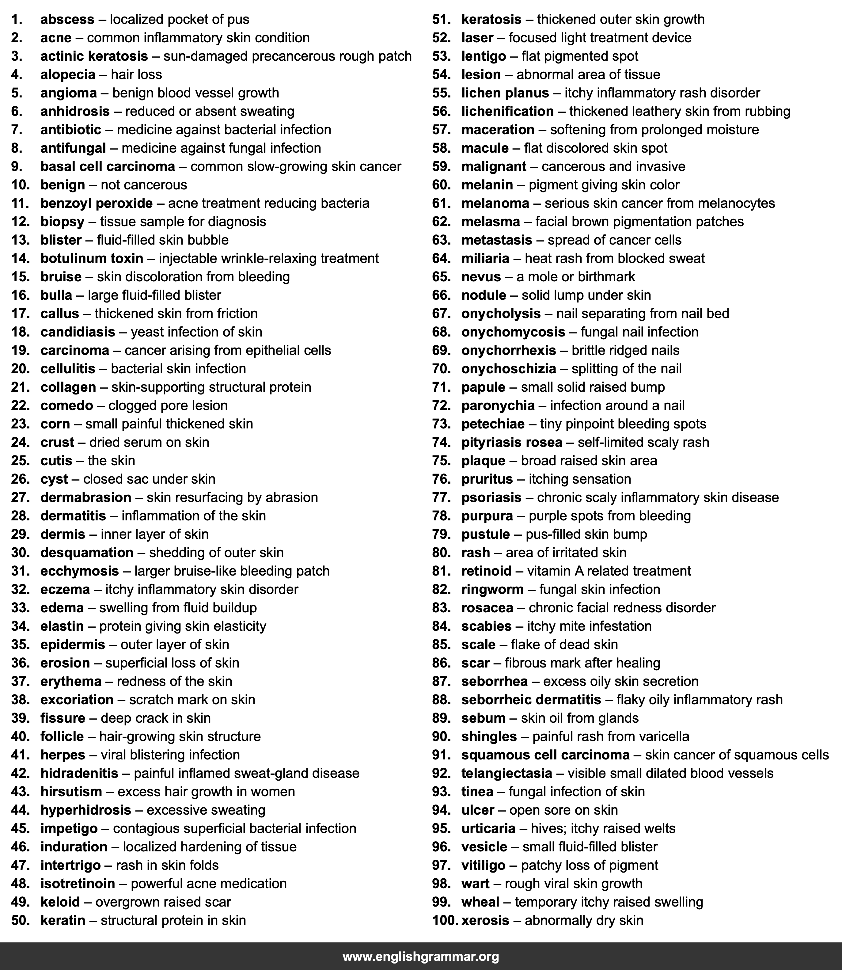 100 Words Every Dermatologist Should Know