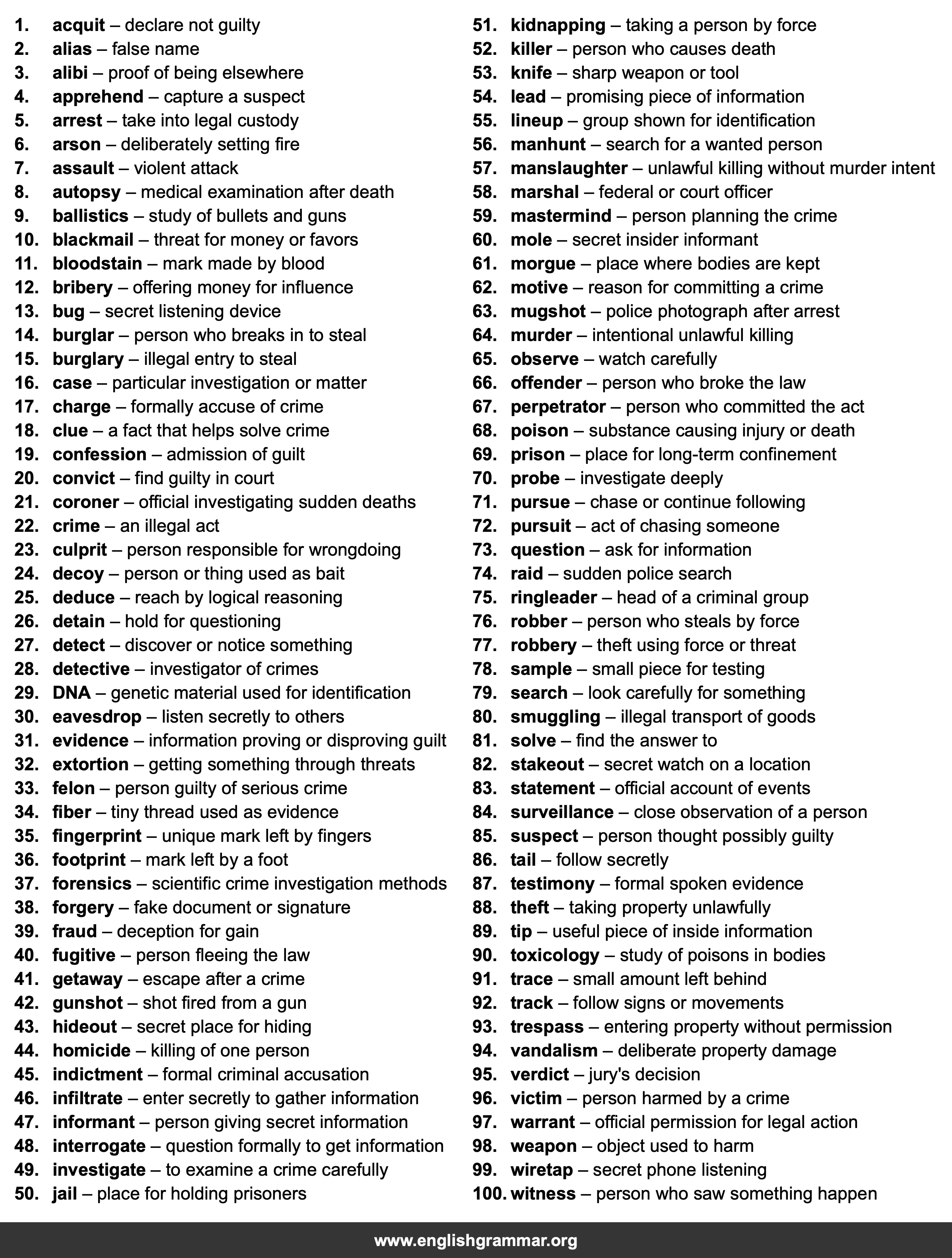 100 Words Every Detective Should Know