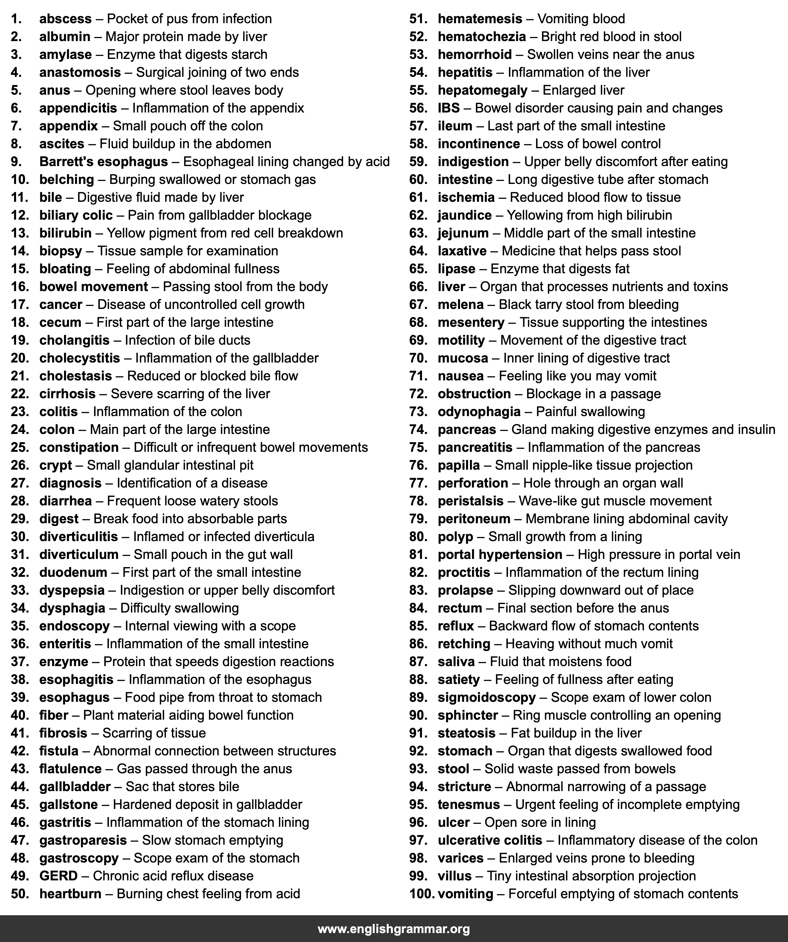 100 Words Every Gastroenterologist Should Know