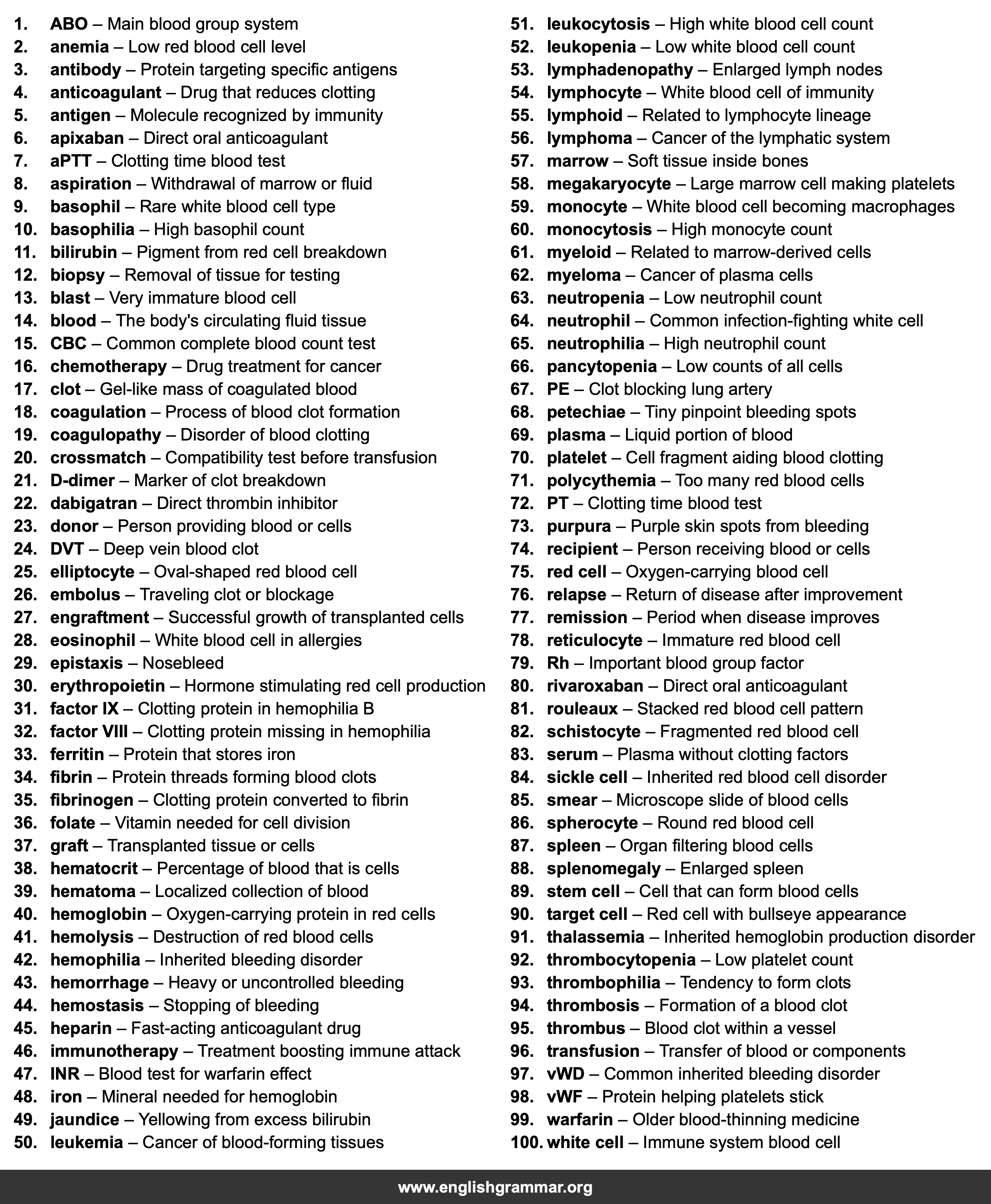 100 Words Every Hematologist Should Know