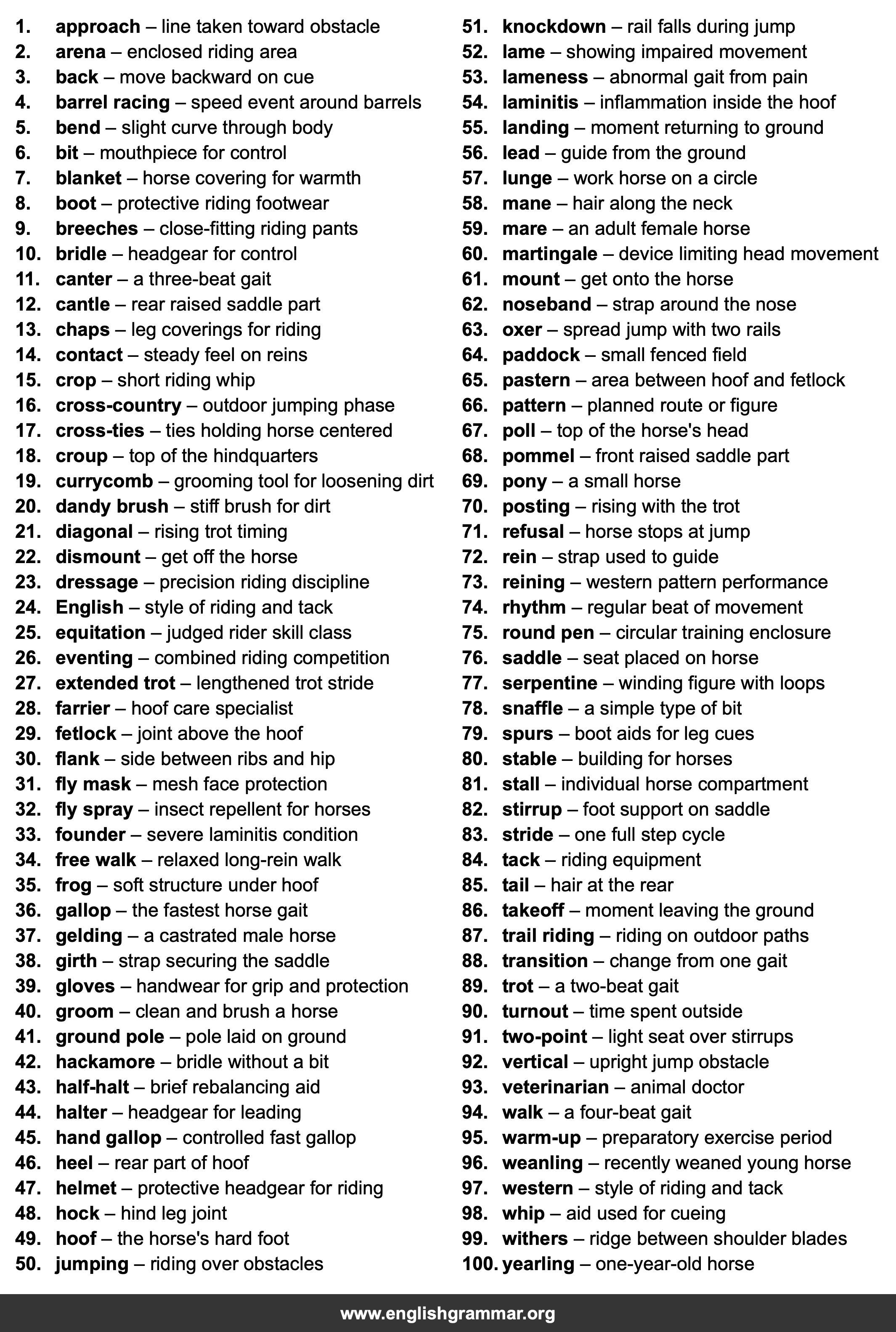 100 Words Every Horse Rider Should Know