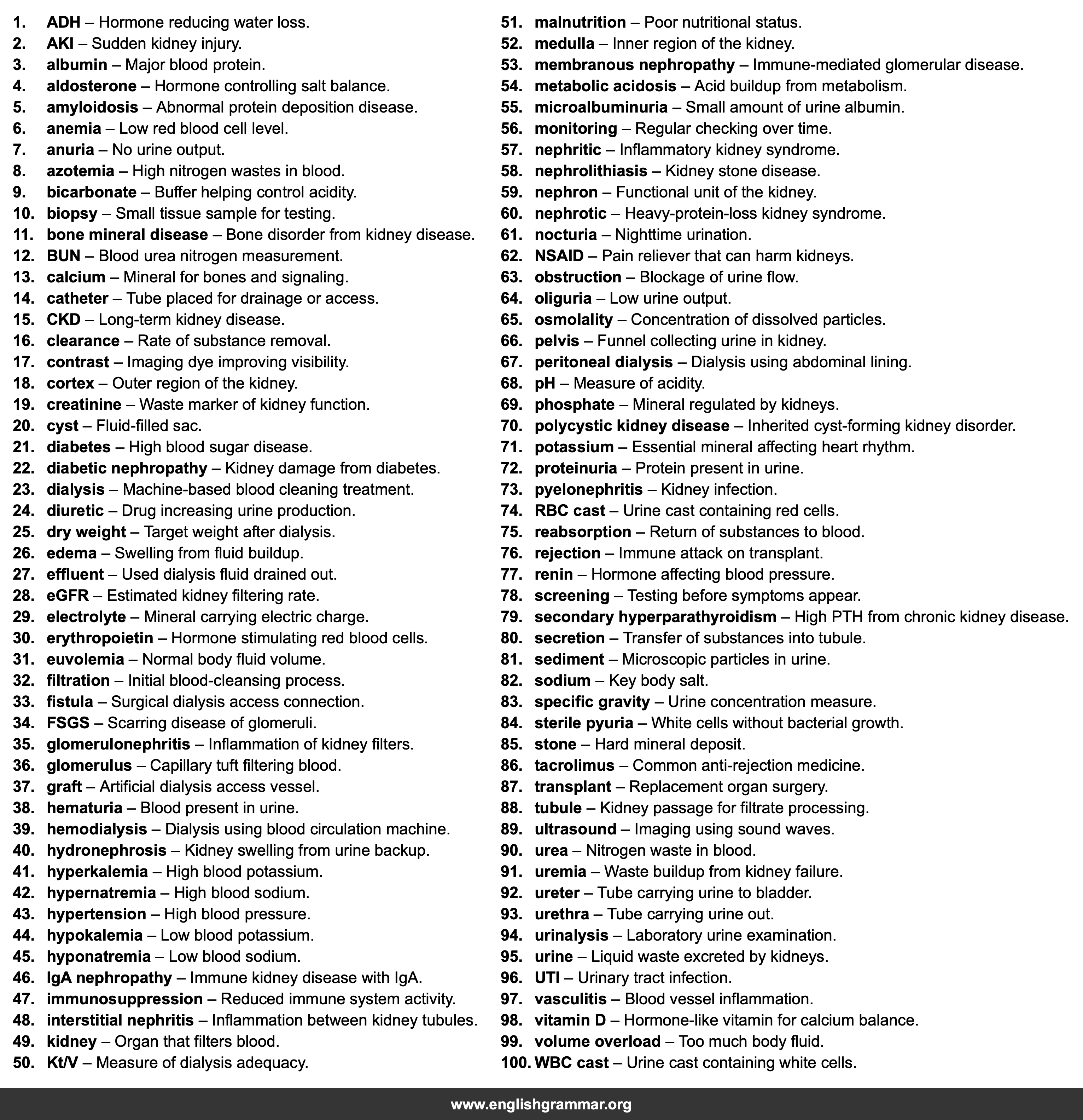 100 Words Every Nephrologist Should Know