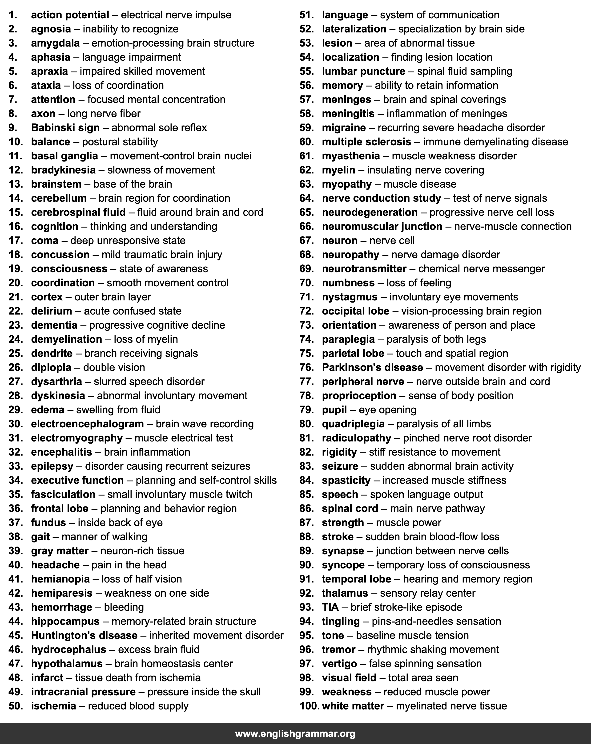 100 Words Every Neurologist Should Know