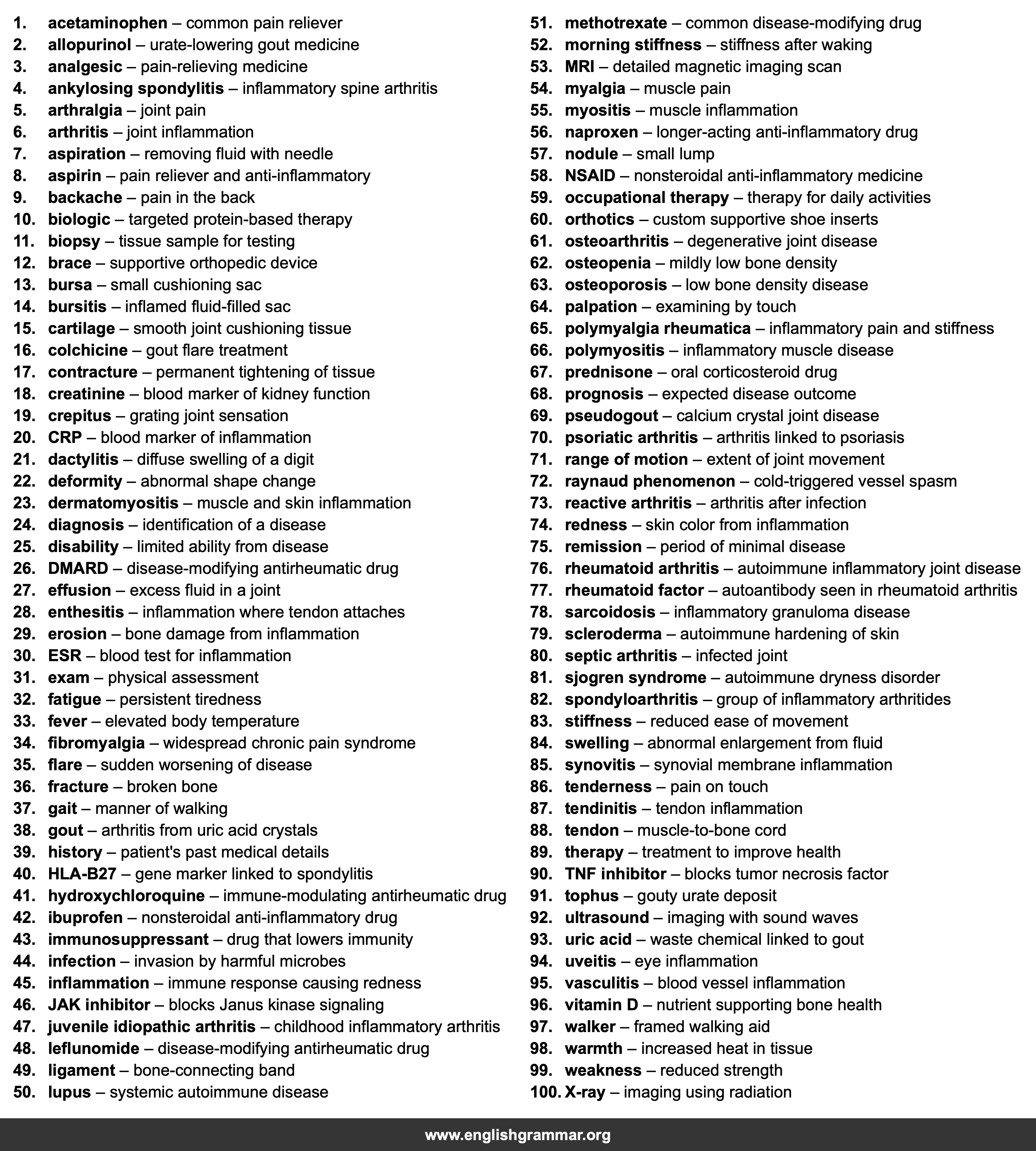 100 Words Every Rheumatologist Should Know