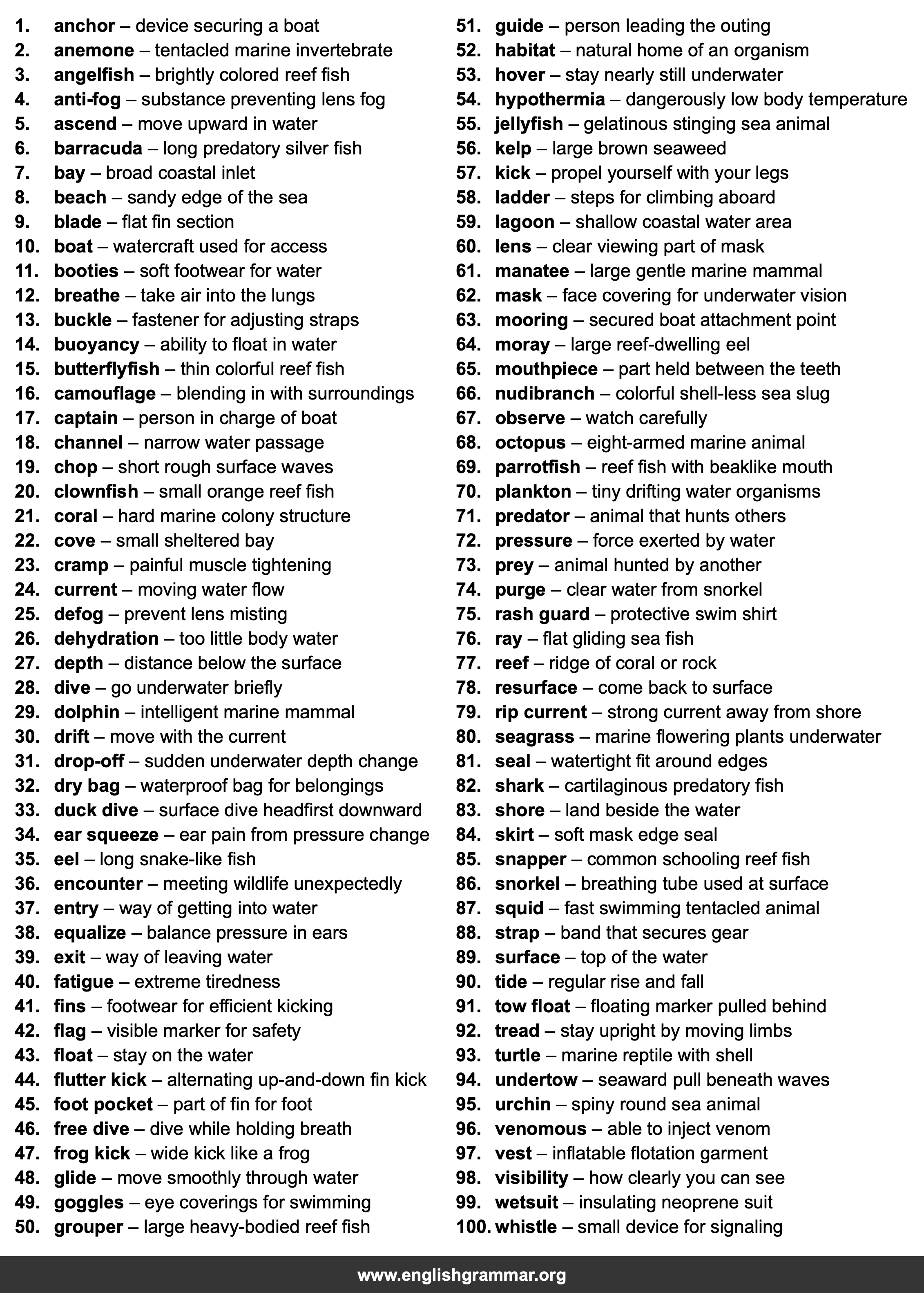 100 Words Every Snorkeler Should Know