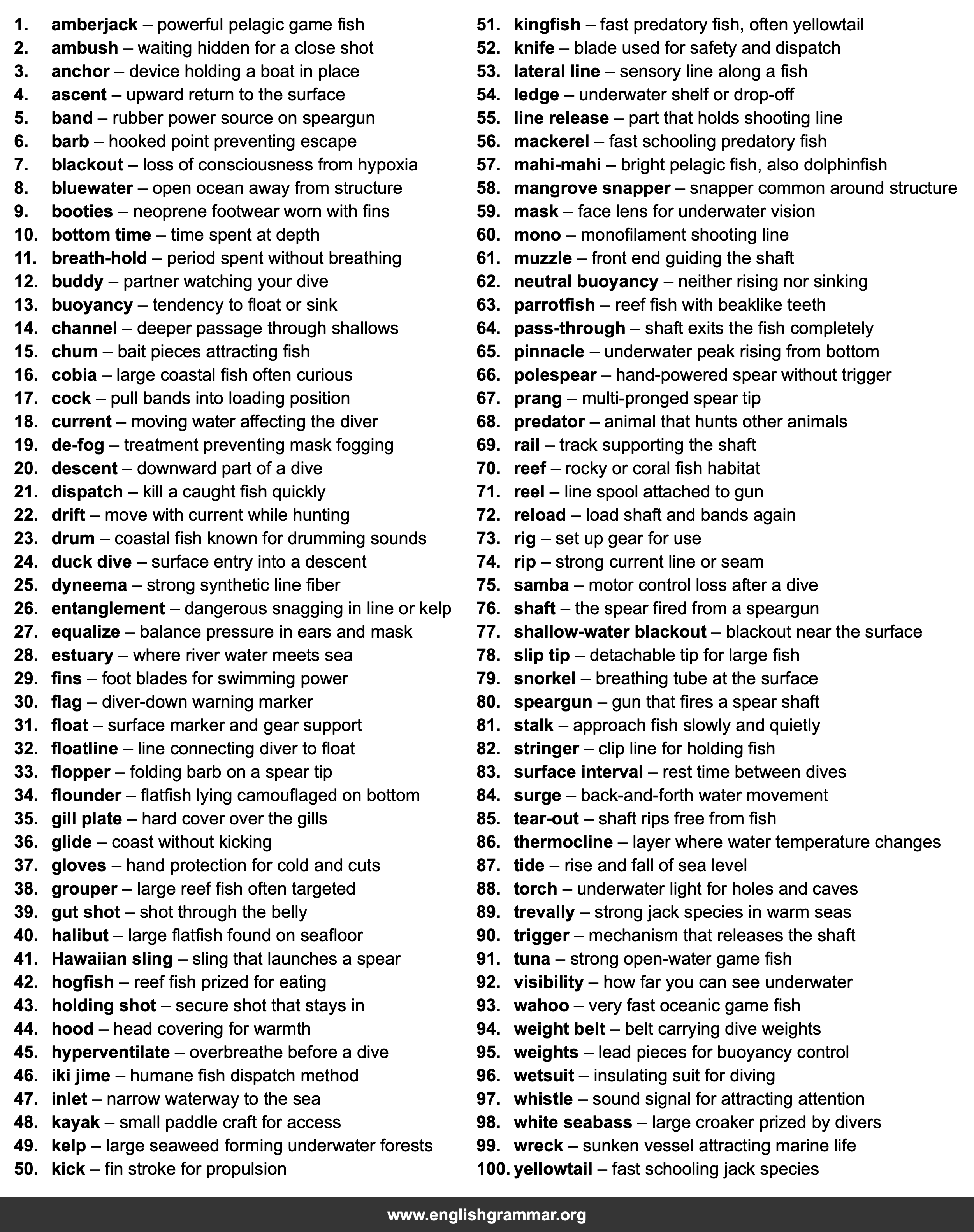 100 Words Every Spearfisher Should Know